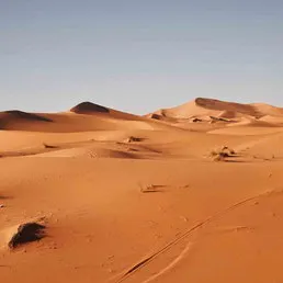 Qu’est-ce que le Sahara occidental ?