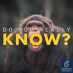 How can I recognise a flying monkey, the narcissistic abuser’s best friend?