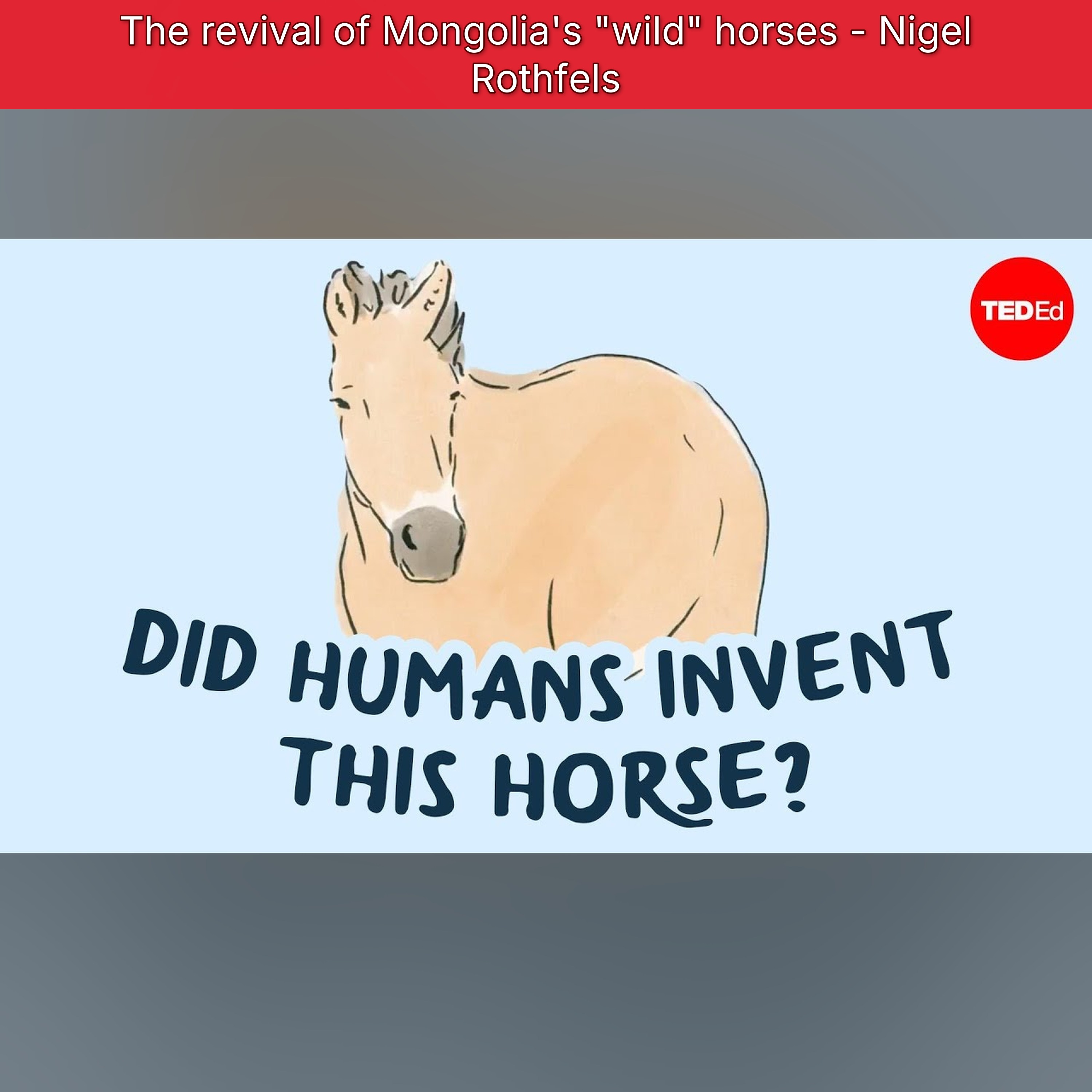 The revival of Mongolia's "wild" horses - Nigel Rothfels episode artwork