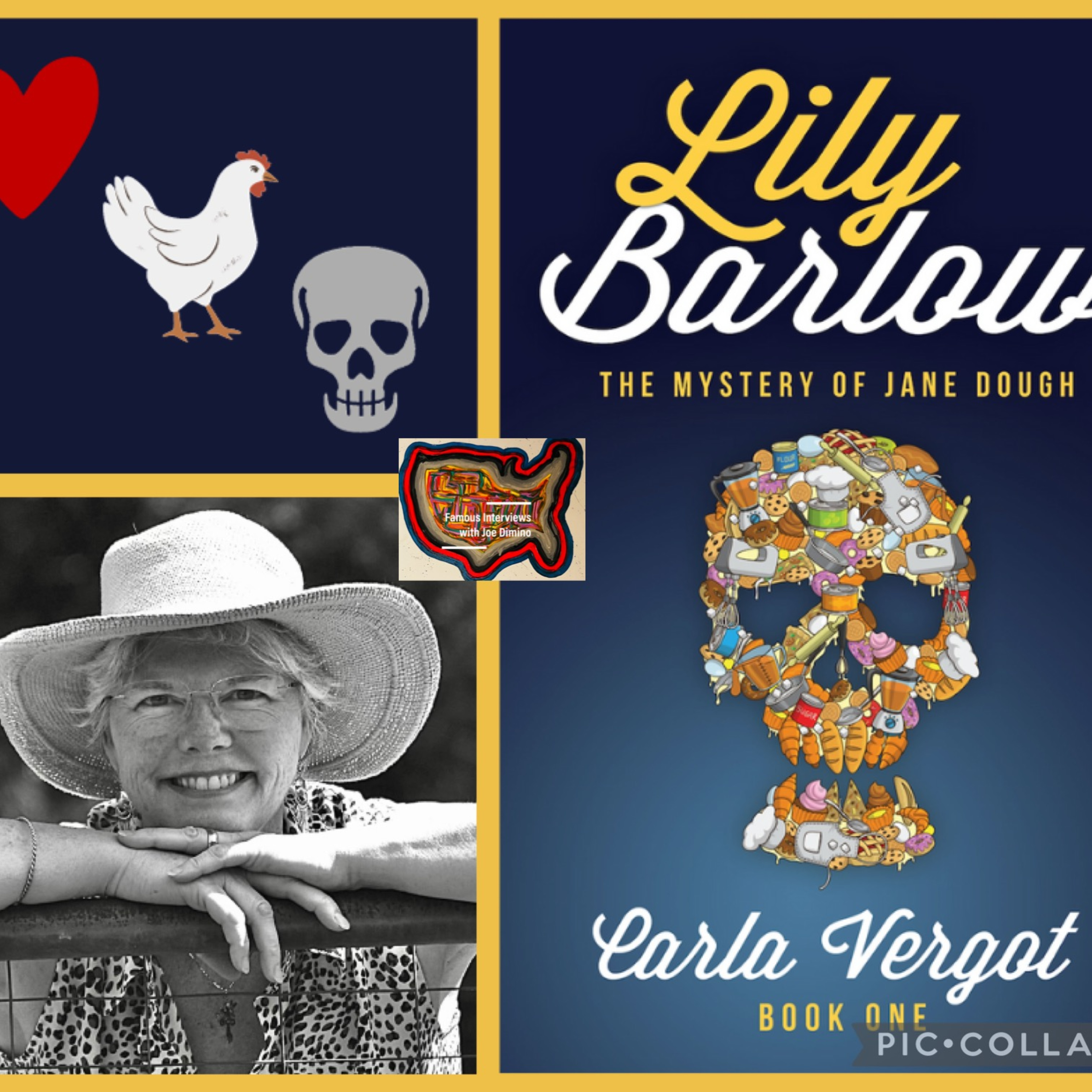 Former Teacher & Fiction Author Carla Vergot episode artwork