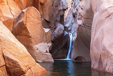 THE WOOLLY MAN OF THE WILDERNESS