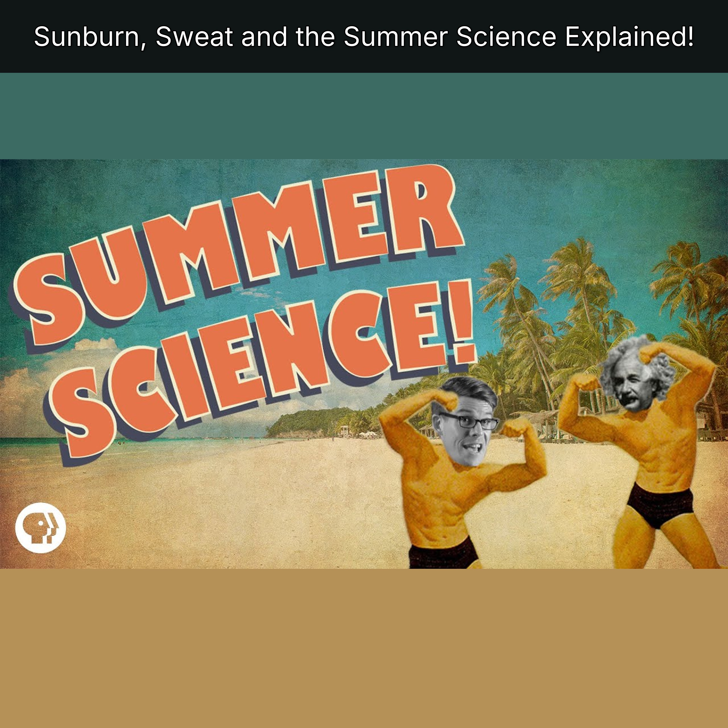 Sunburn, Sweat and the Summer Science Explained! episode artwork