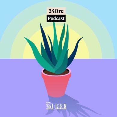 Sanità, la classifica delle Asl: Vicenza al top, Napoli in coda