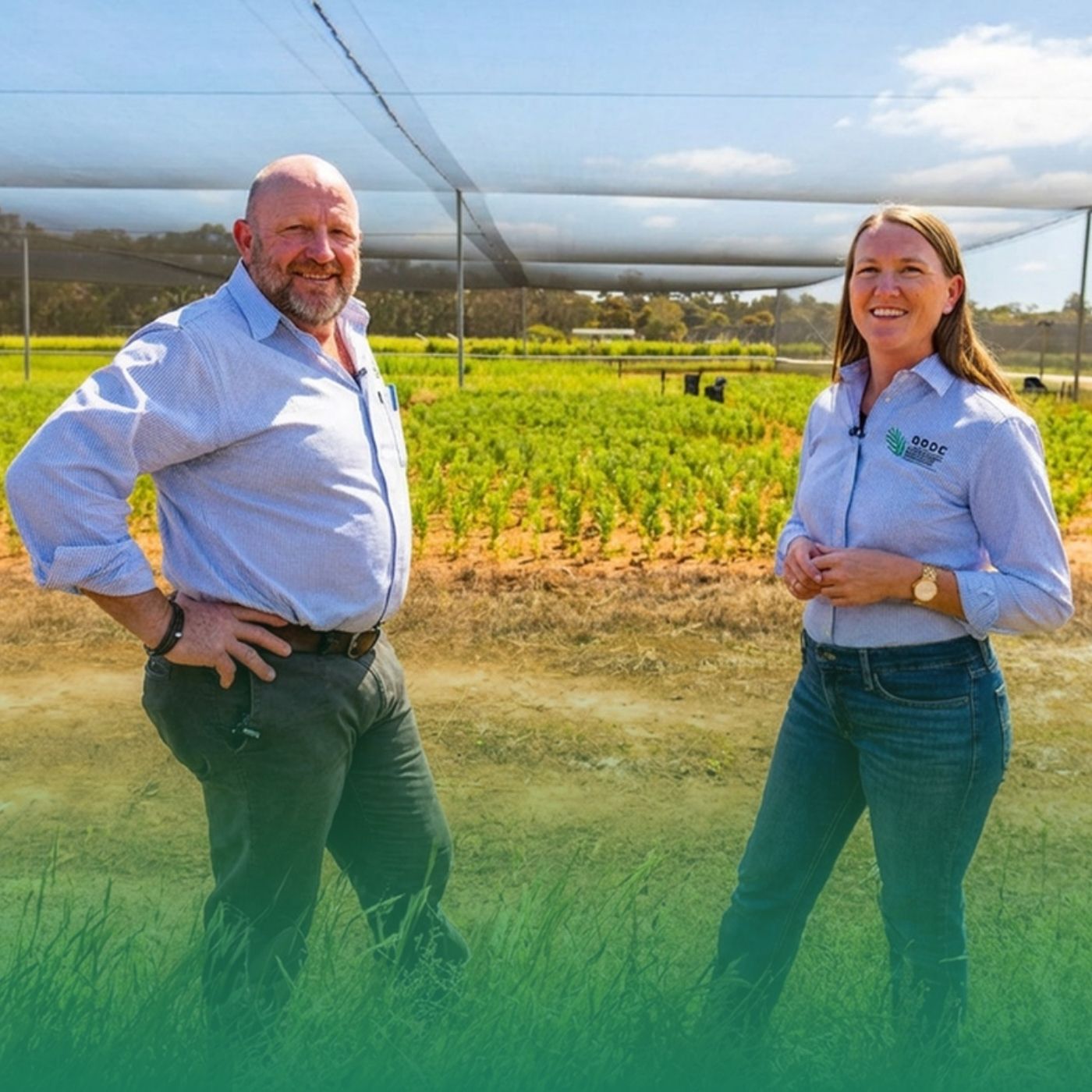 From idea to investment: The rigour behind every GRDC project
