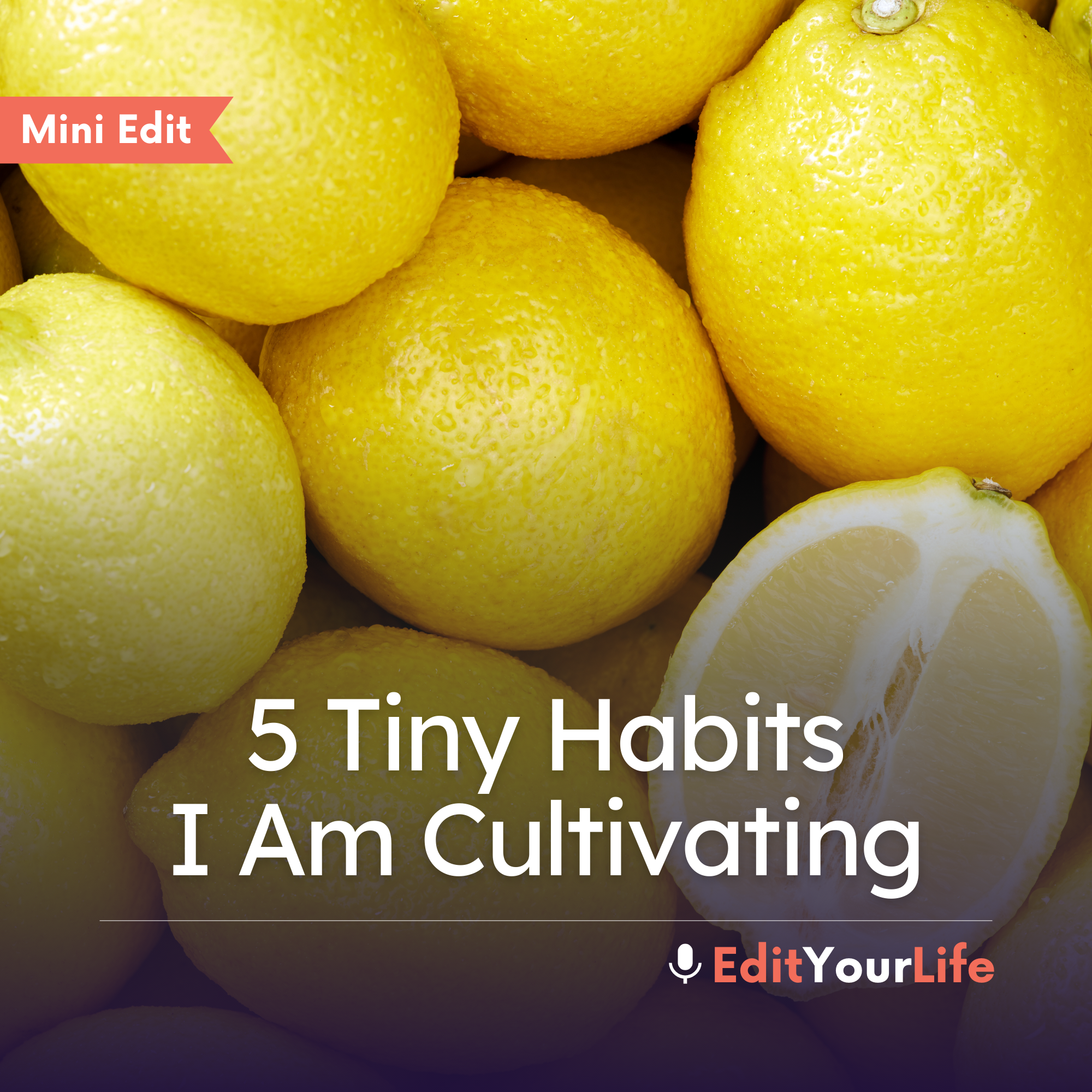 Mini Edit: 5 Tiny Habits I Am Cultivating