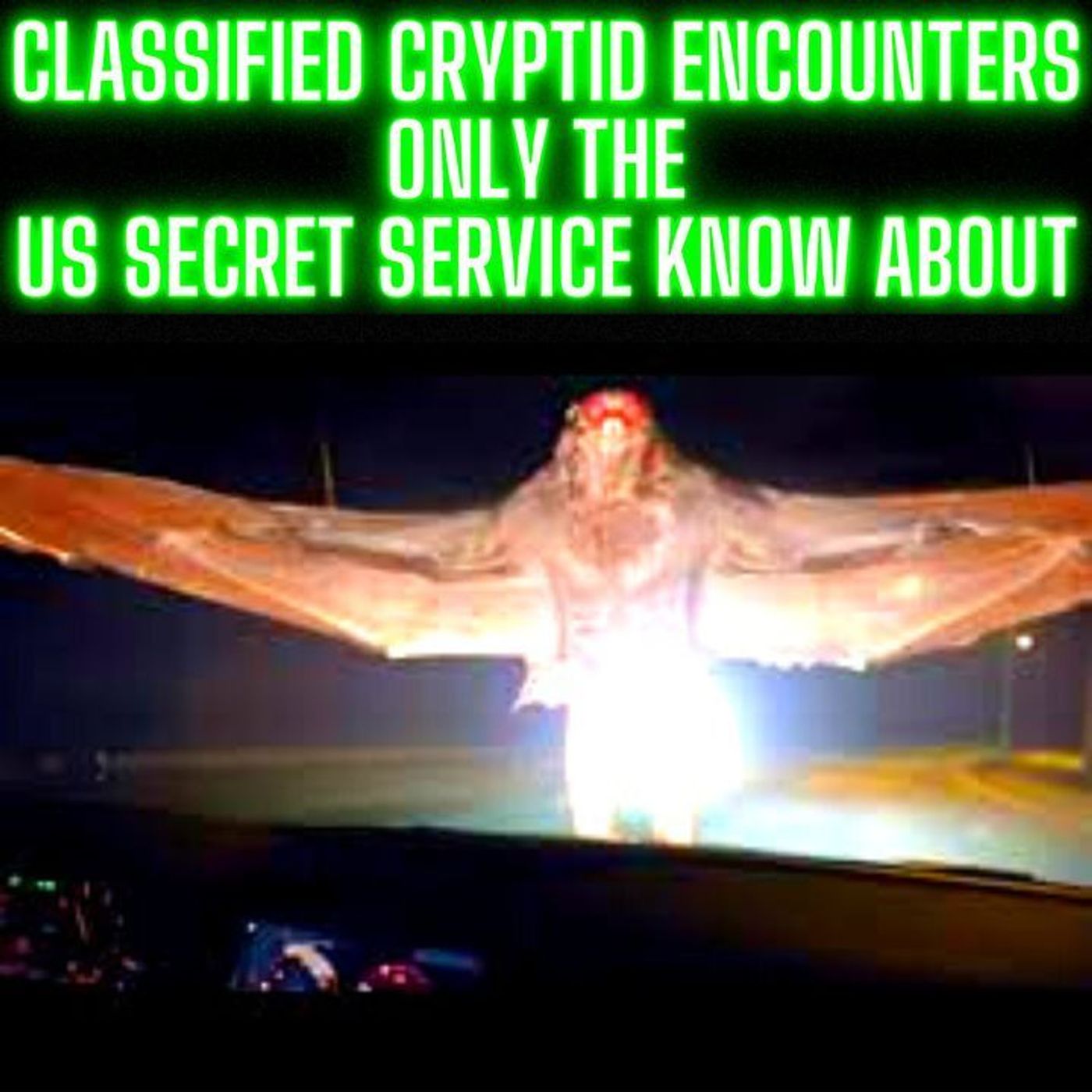 CLASSIFIED CRYPTID ENCOUNTERS ONLY THE US SECRET SERVICE and PRESIDENT KNOW ABOUT 3 HOURS! episode artwork