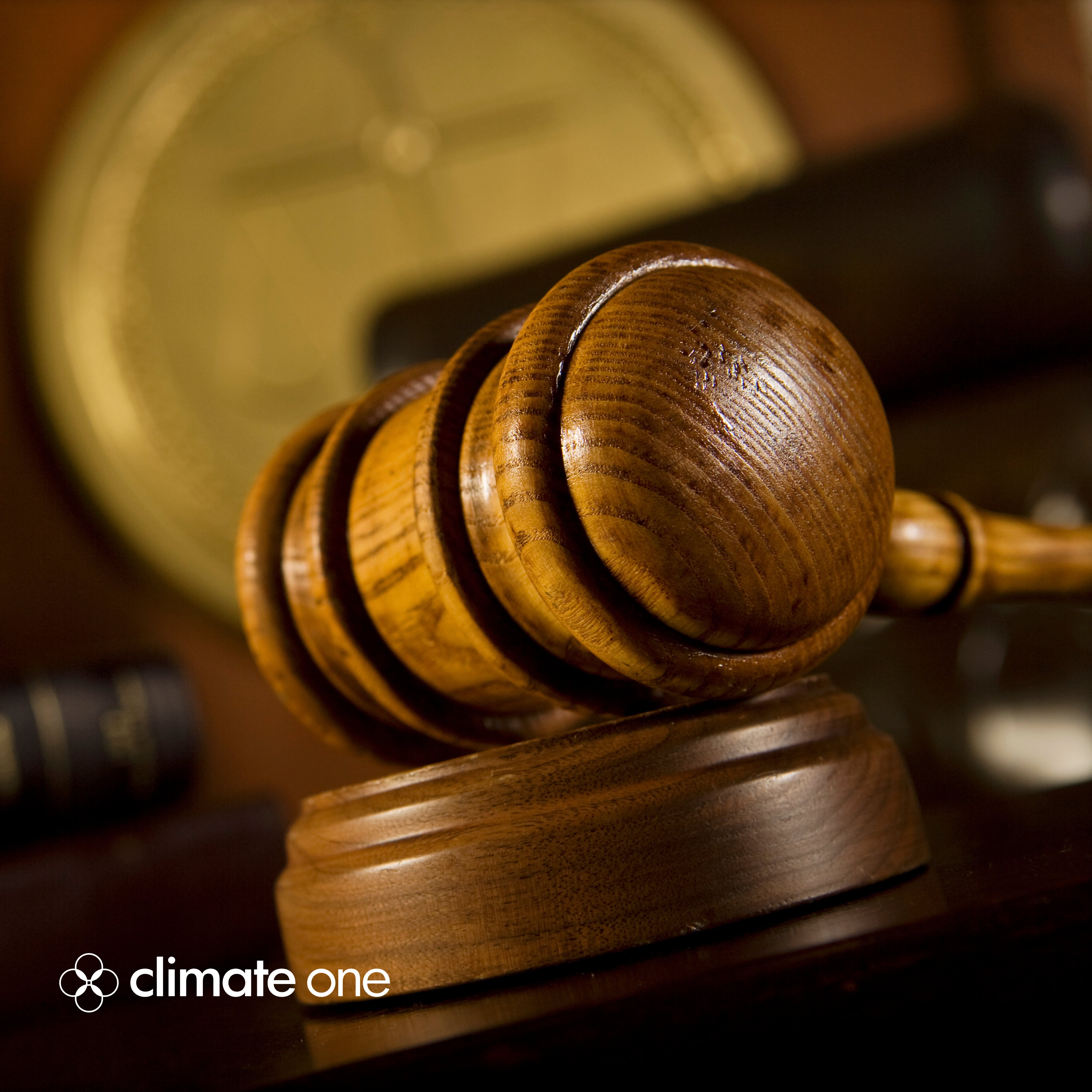 Young People Are Bringing Climate To Court. And Winning.