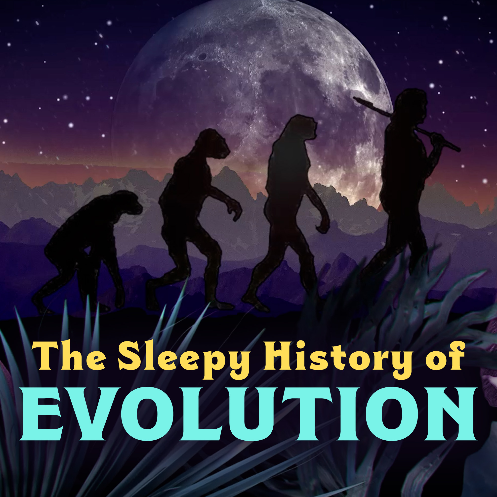 Evolution