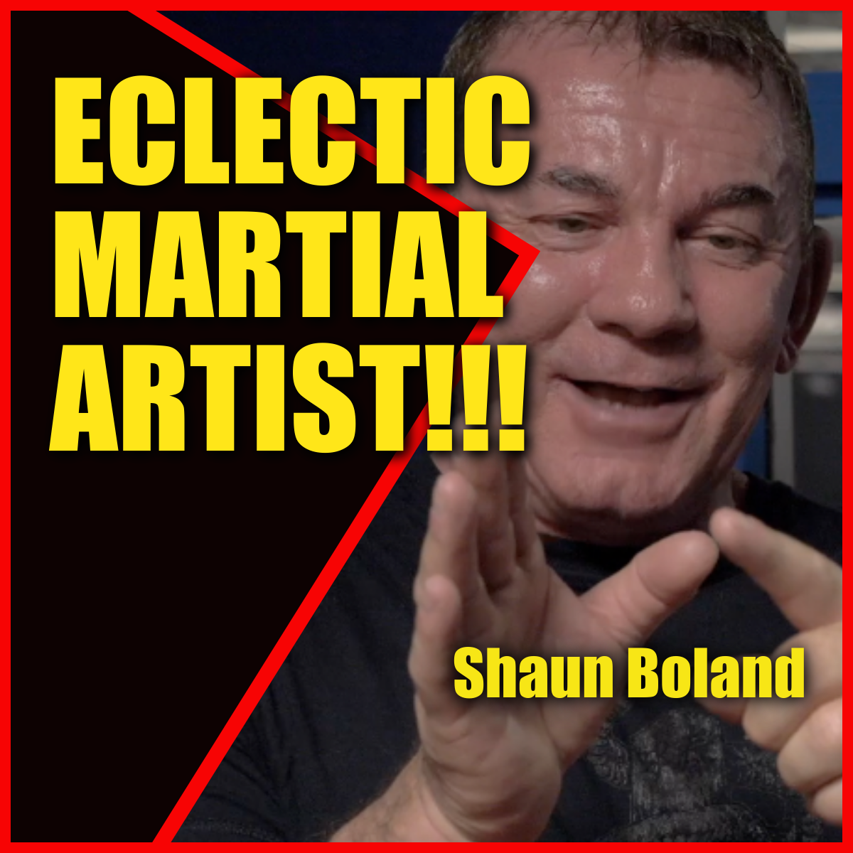 ECLECTIC MARTIAL ARTIST!!! Shaun Boland RIP episode artwork