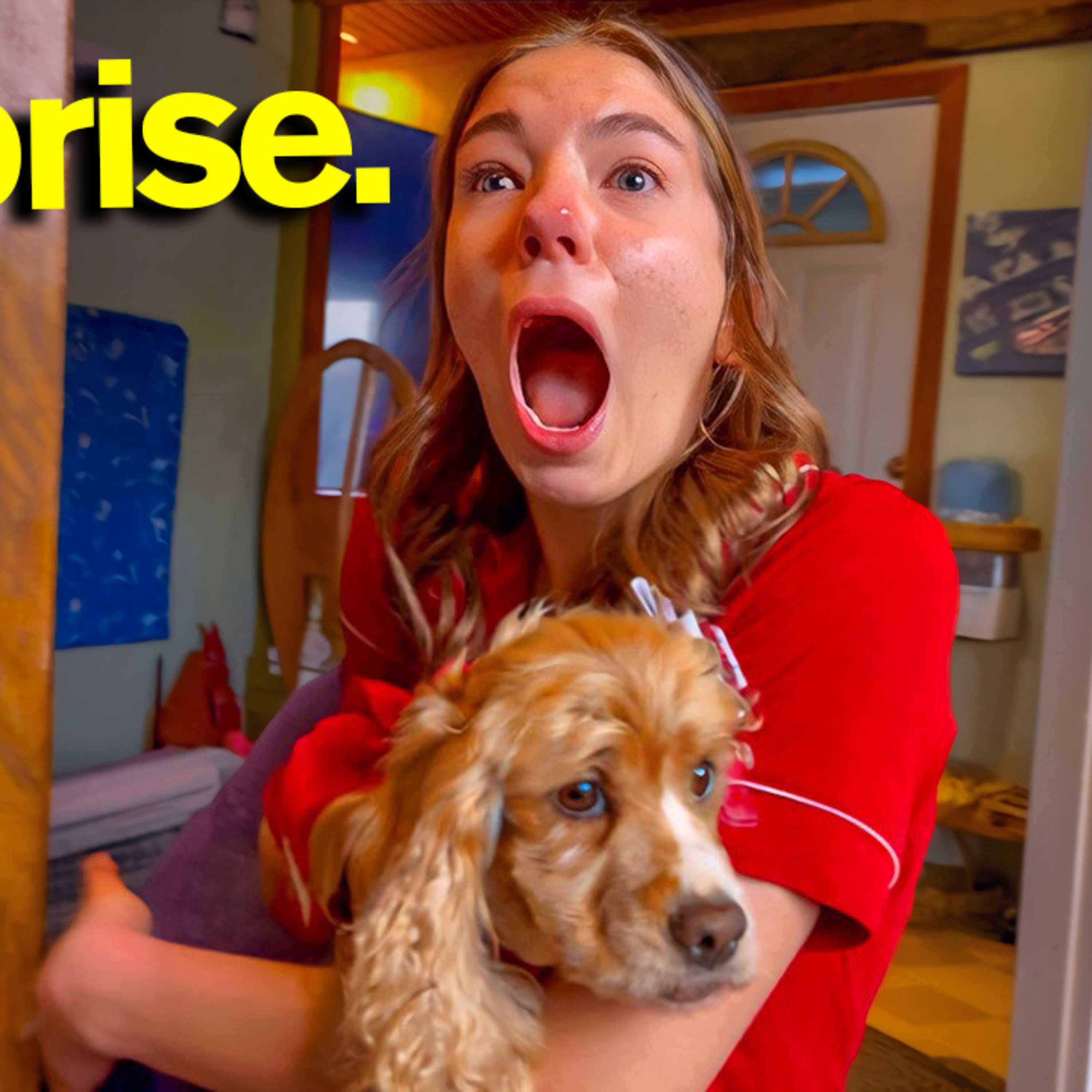 Cash Gave Kate A Puppy!