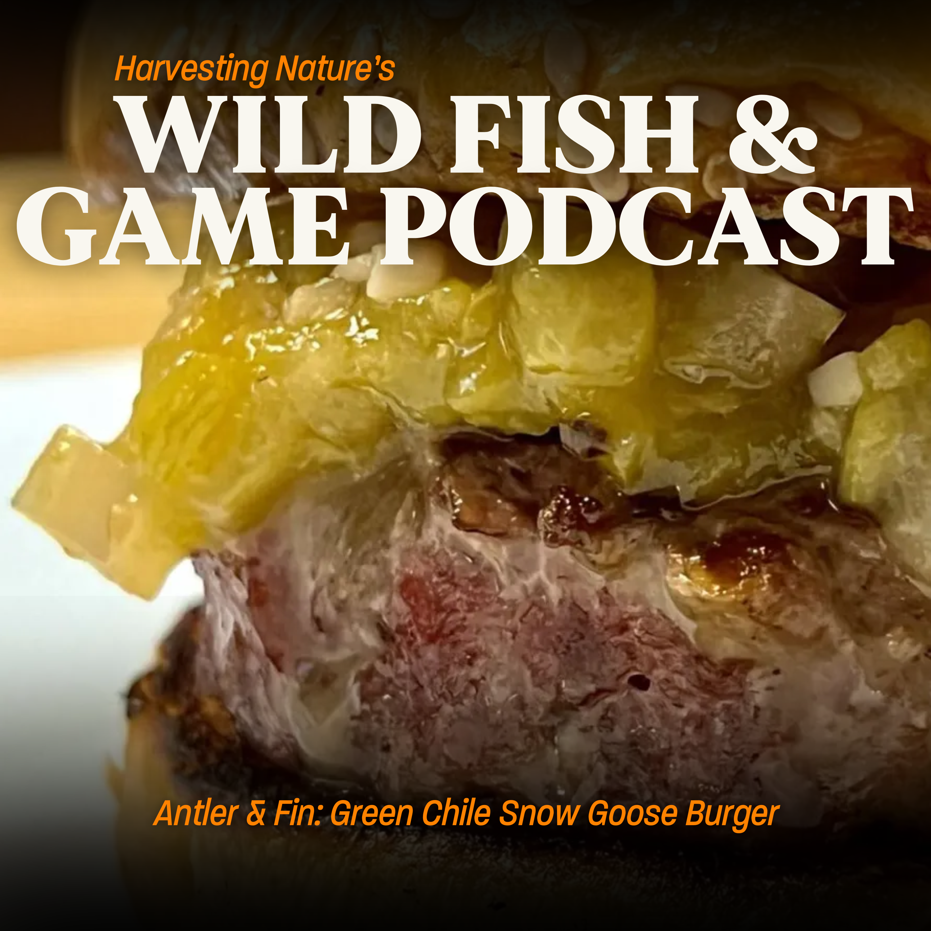 Episode 190: Chile Snow Goose Burgers and Problematic Snow Geese in North America
