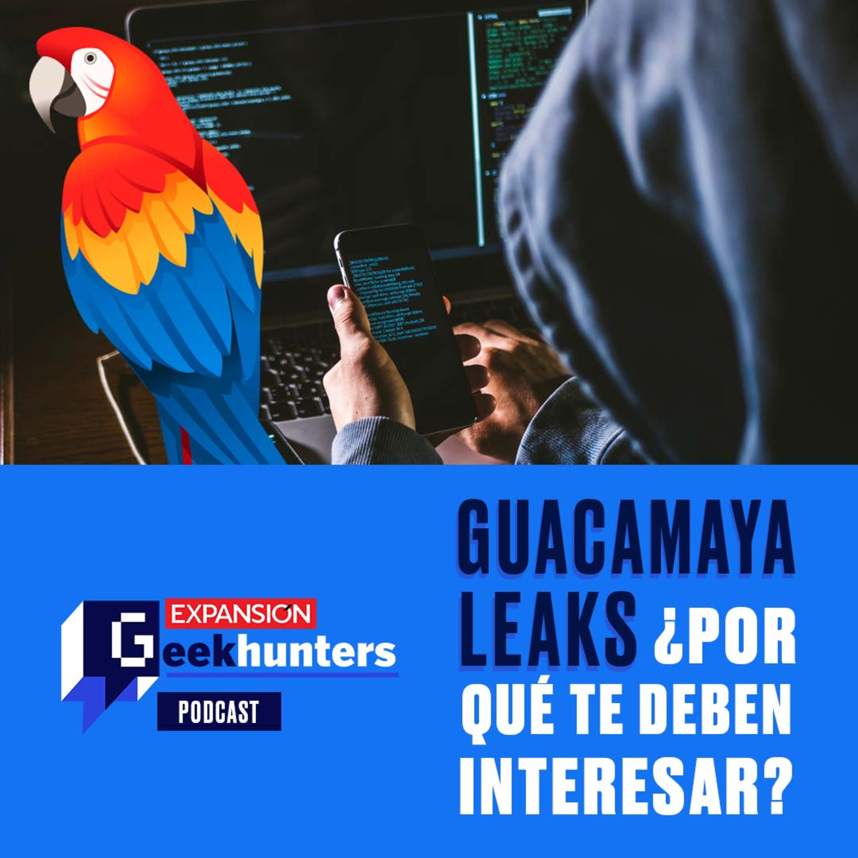Guacamaya leaks, ¿por qué te deben interesar? episode artwork