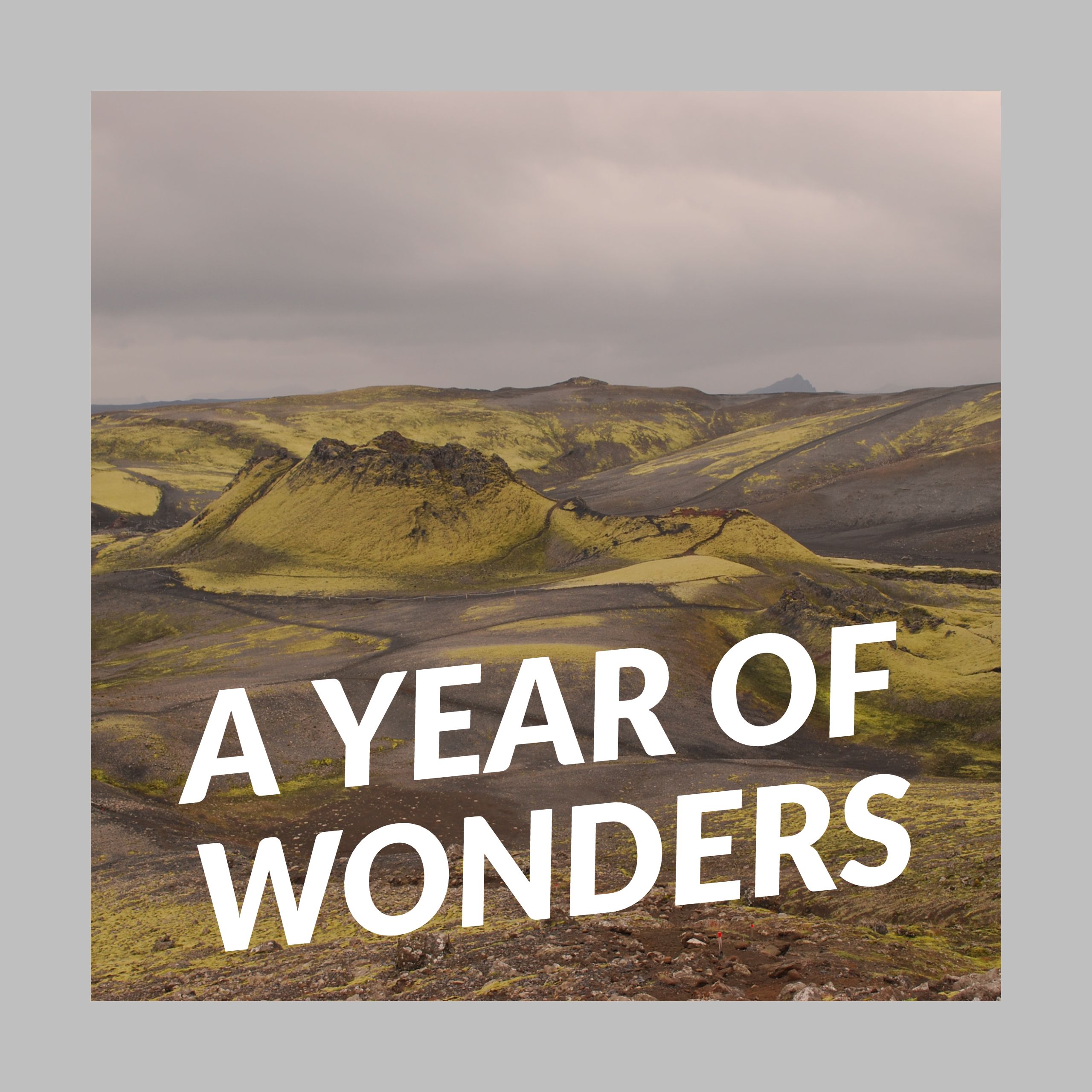 A Year of Wonders