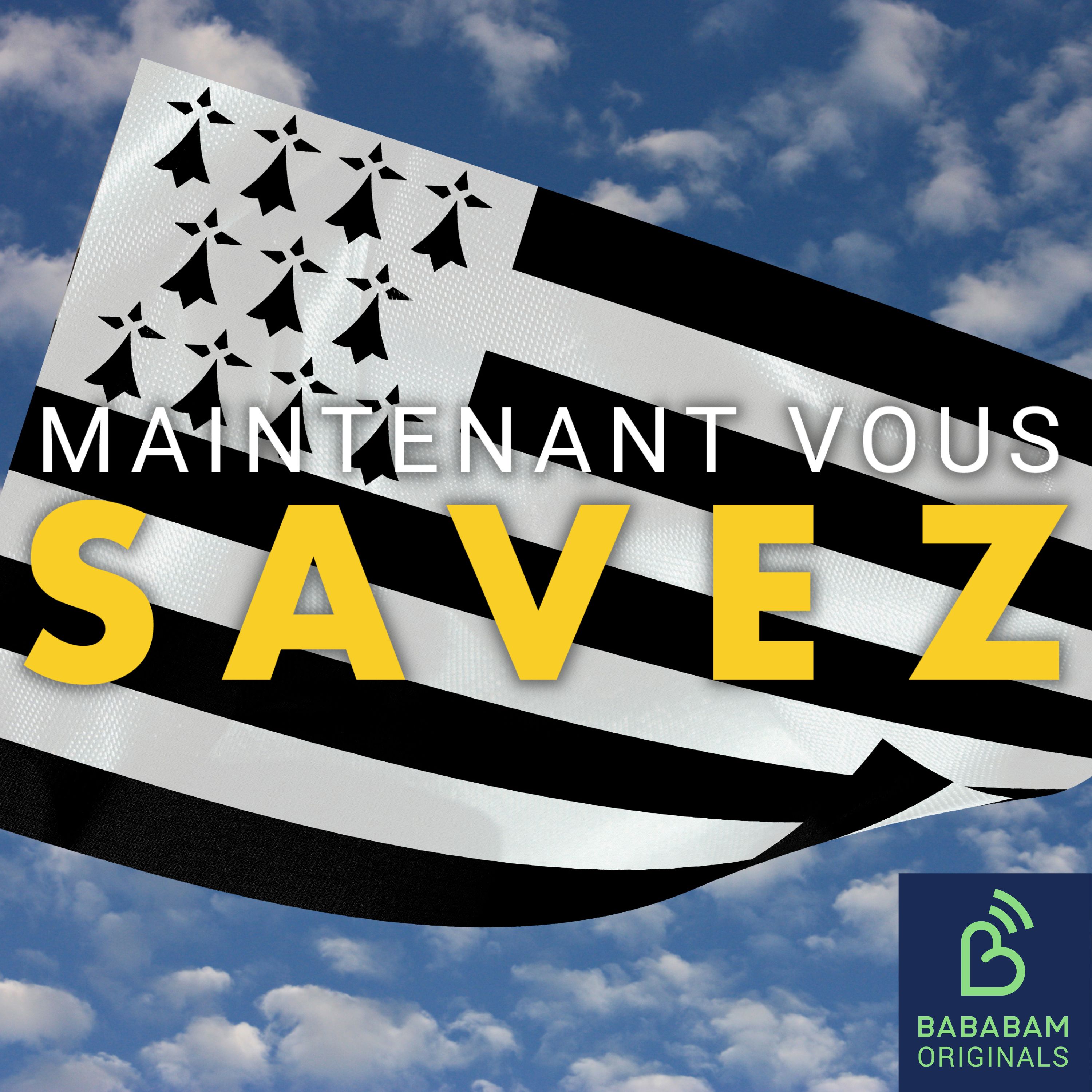 Pourquoi les langues régionales disparaissent-elles en France ?