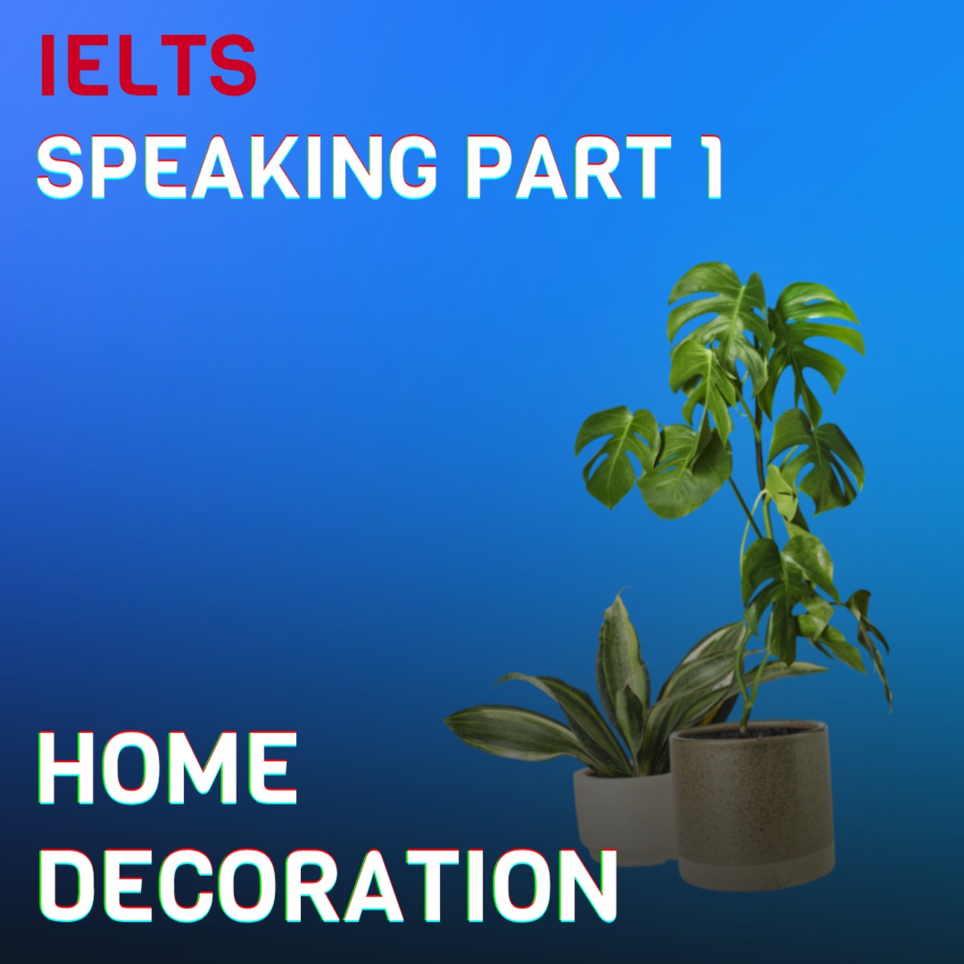 🪴 Home Decoration (S07E29) + Transcript