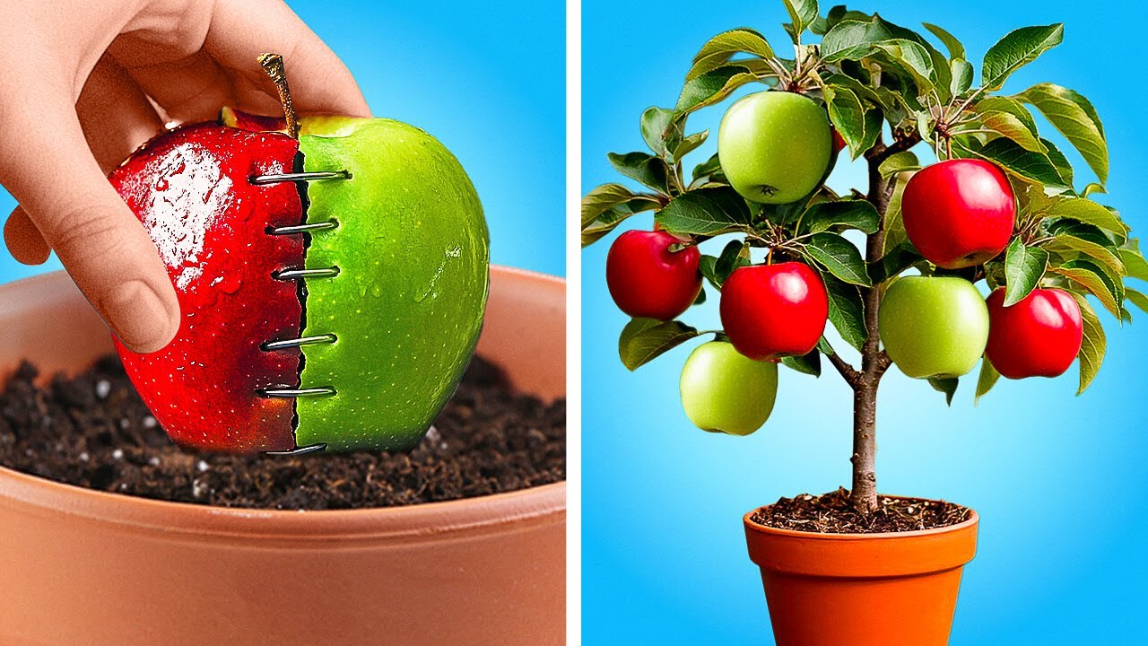 15 ASTUCES DE JARDINAGE QUE VOUS AURIEZ AIMÉ CONNAÎTRE PLUS TÔT ! episode artwork