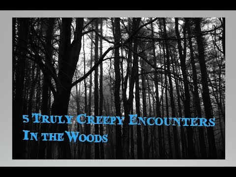 5 Truly Creepy Encounters in the Woods episode artwork