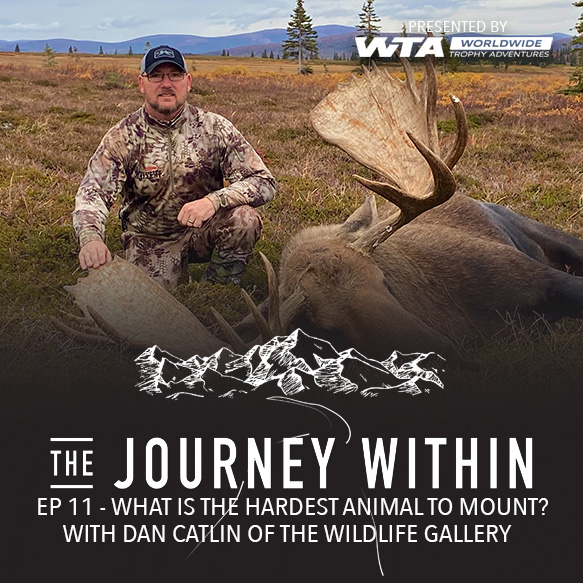 EP 11 | What is the hardest animal to mount? With Dan Catlin of The Wildlife Gallery