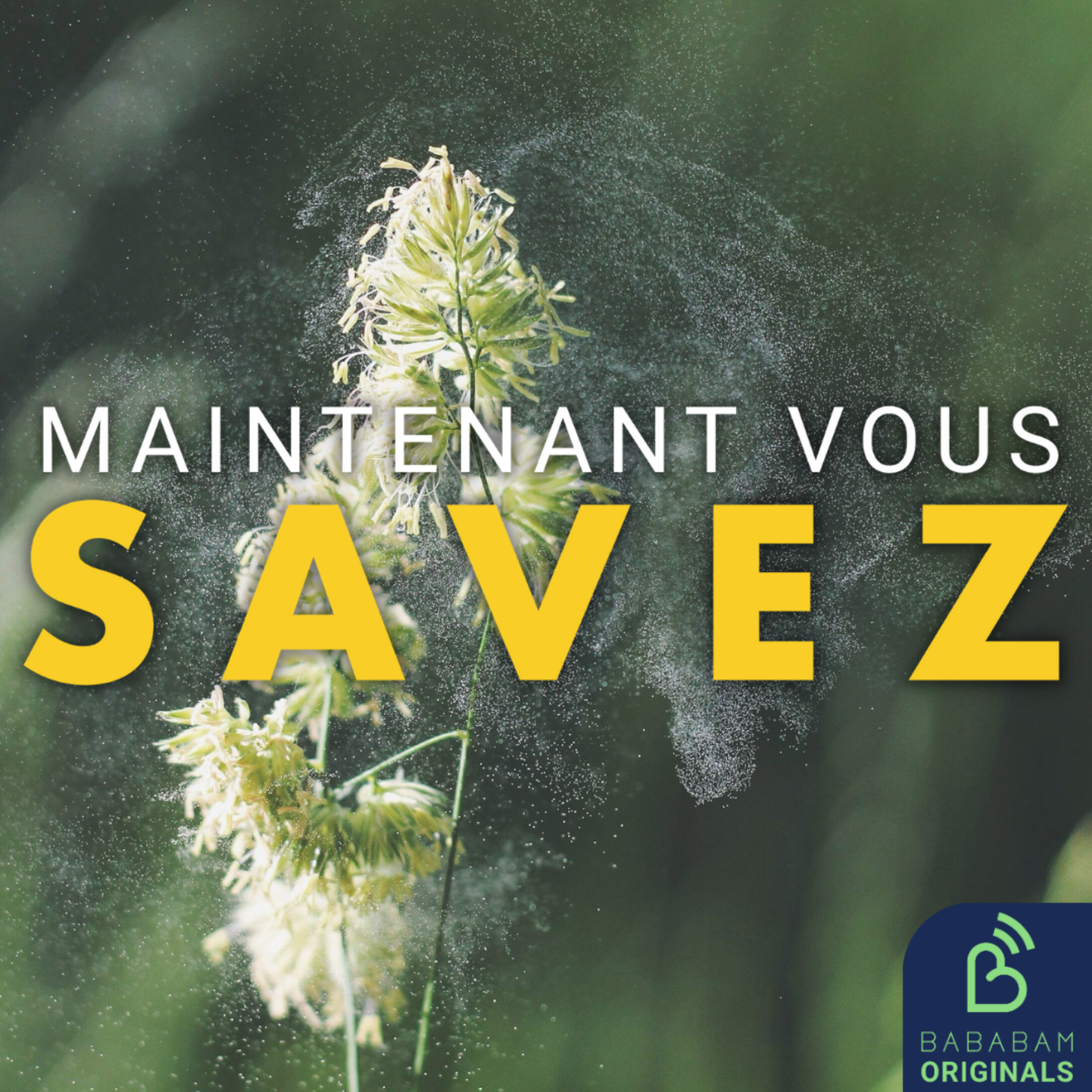 Serons-nous bientôt tous allergiques au pollen ?