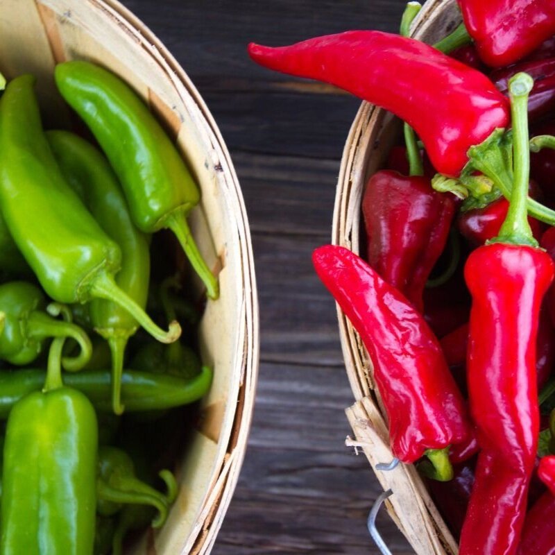 Orange and Black SoccerCast