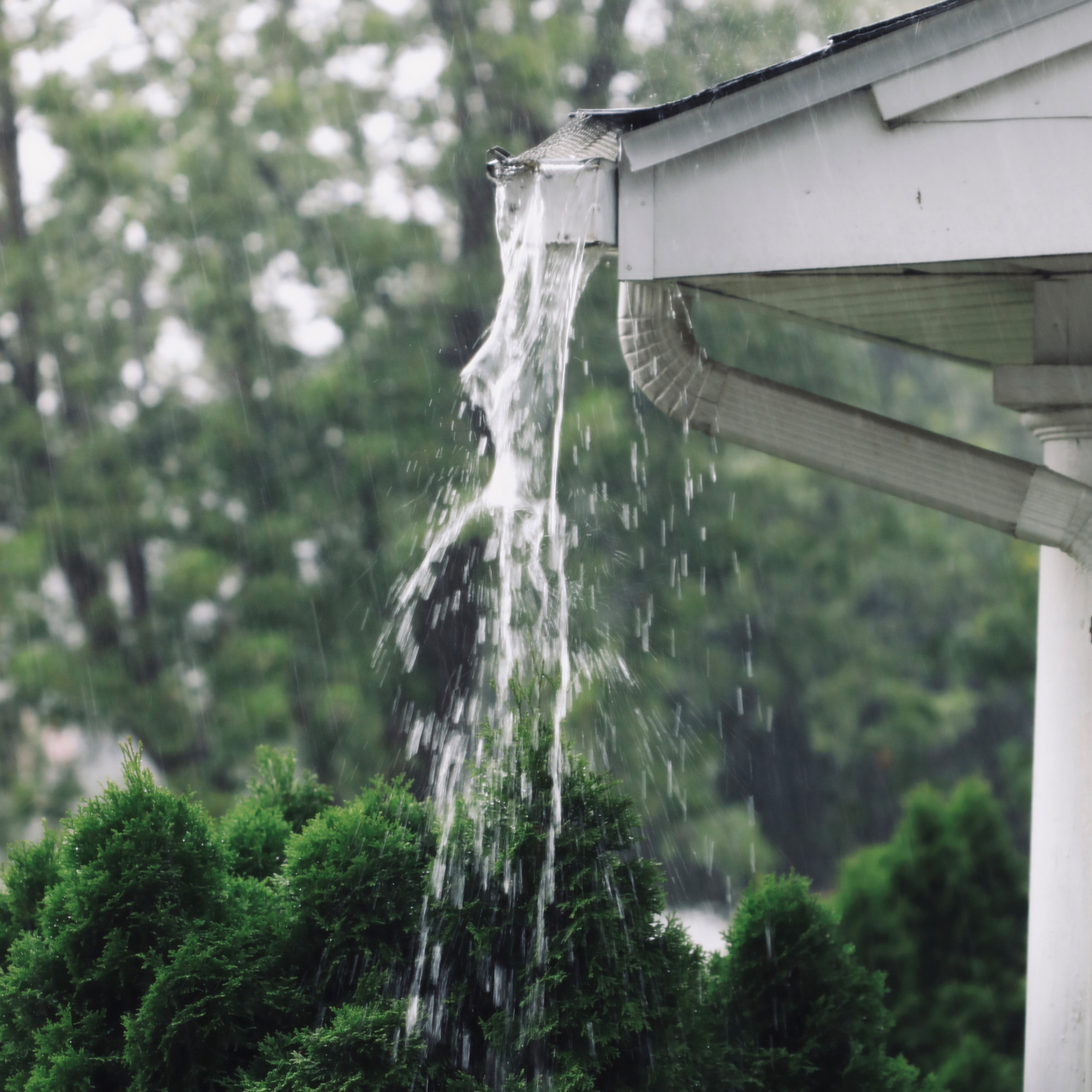 Sound Escape 237: Soak in the sounds of rushing rain through the drainpipes