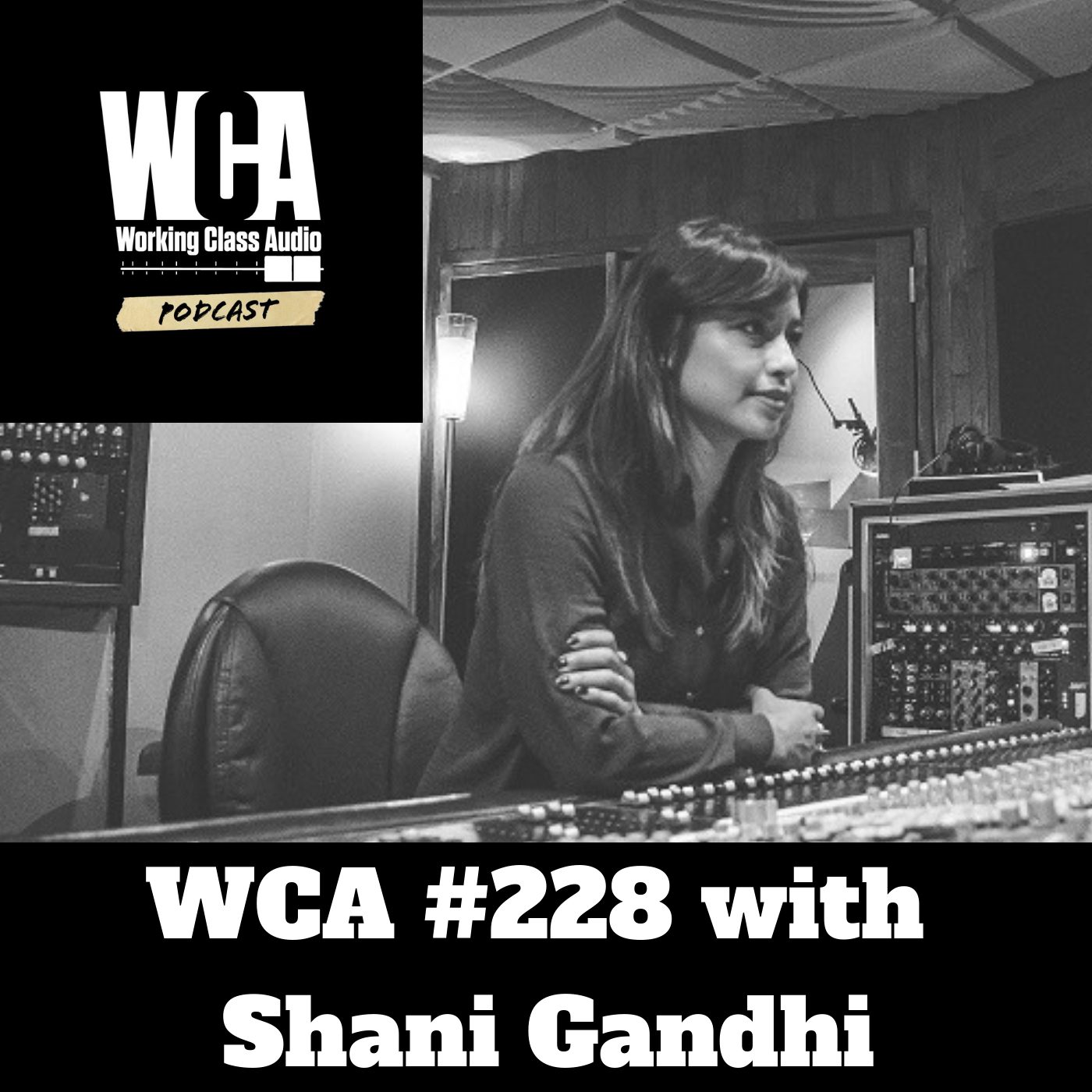 WCA #228 with Shani Gandhi