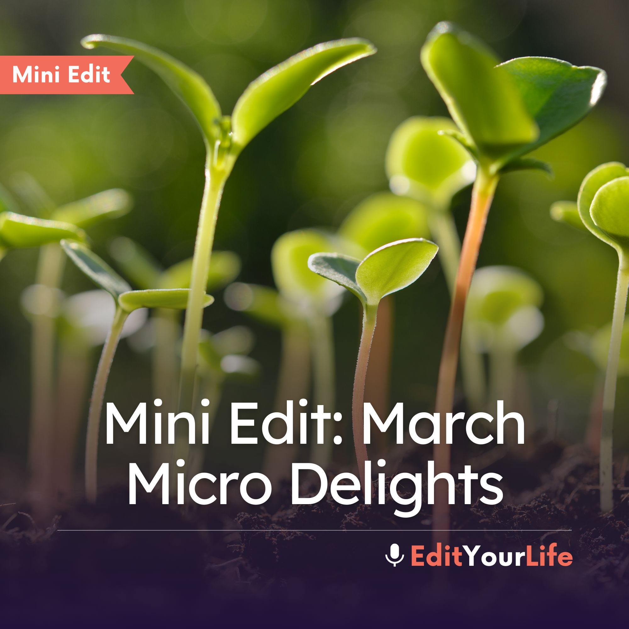 Mini Edit: March Micro Delights