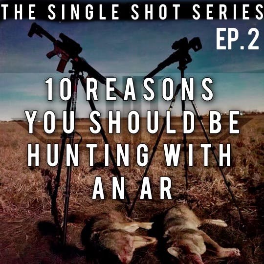 2 Single Shot Series - 10 Reasons You Should Be Hunting With An AR