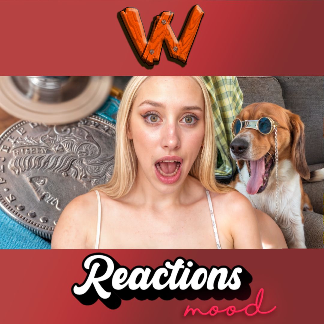 Luxury Dog Shades from Dollar Coin: Art Crafter Reacts episode artwork
