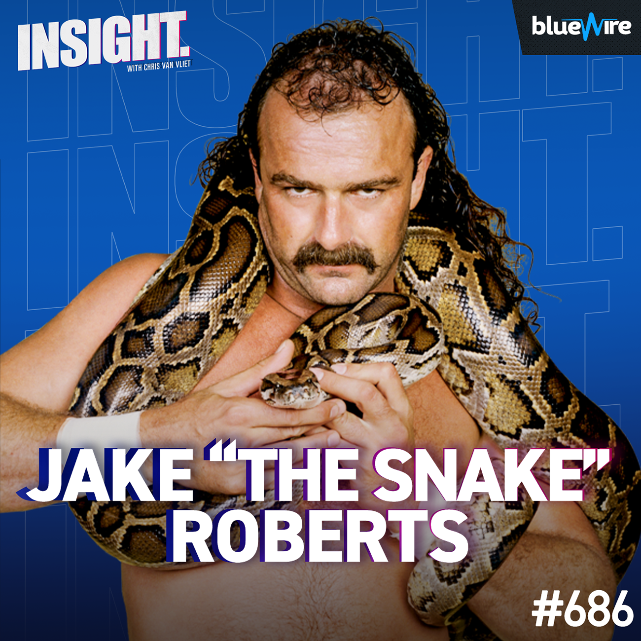 Jake Roberts Was SCARED Of Snakes! Legendary Promos, Hulk Hogan, DDP, Sobriety