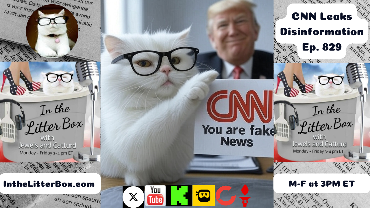 CNN Leaks Disinformation | In the Litter Box w/ Jewels & Catturd – Ep. 829 – 6/25/2025