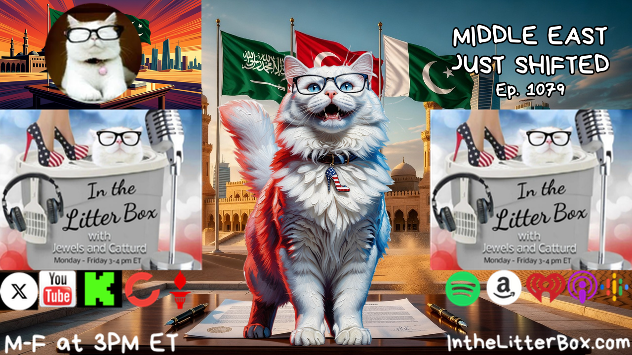 MIDDLE EAST JUST SHIFTED | In the Litter Box w/ Jewels & Catturd – Ep. 1079 – 8/17/2026