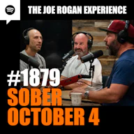 #1879 - Sober October 4 artwork