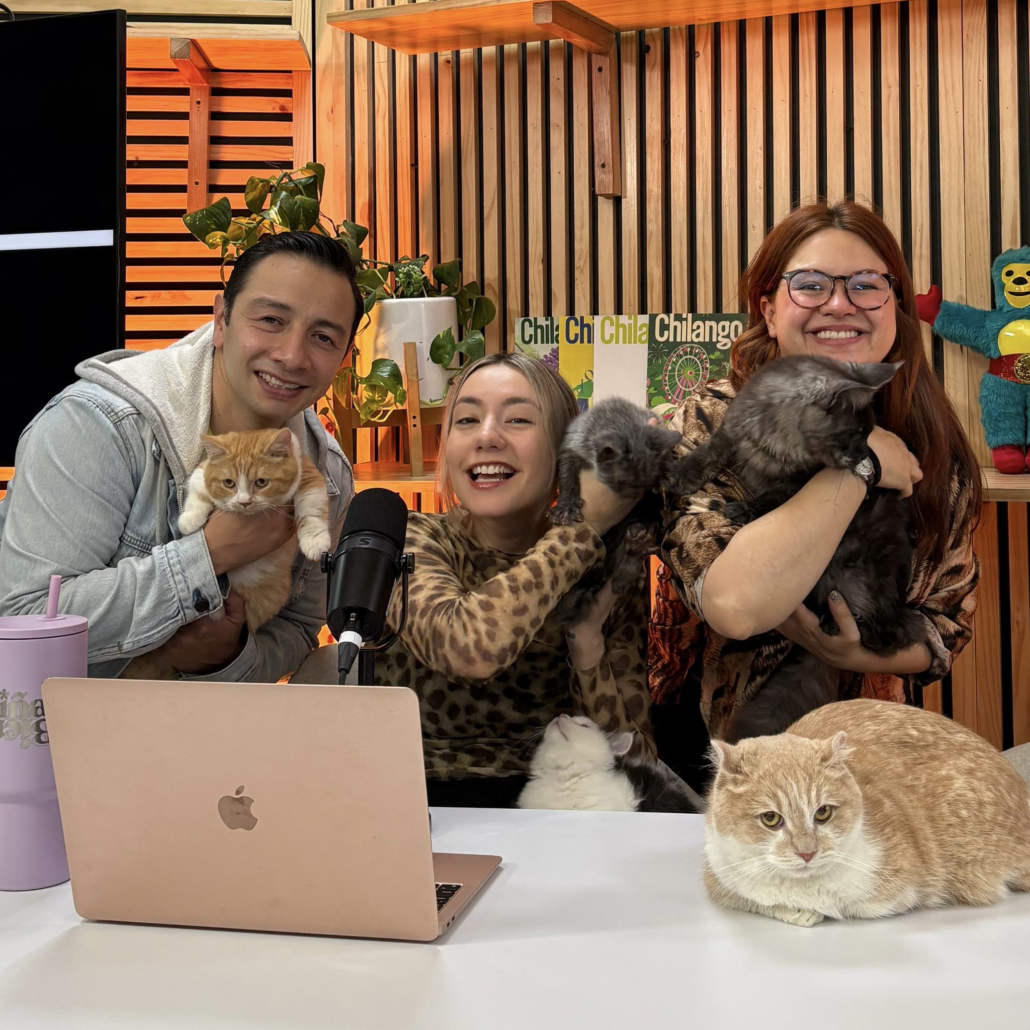 #ChingoDeGatos con Ando y Grecia: Día Internacional del Gato ¿sabes por qué se dice ‘michis’? y más. episode artwork