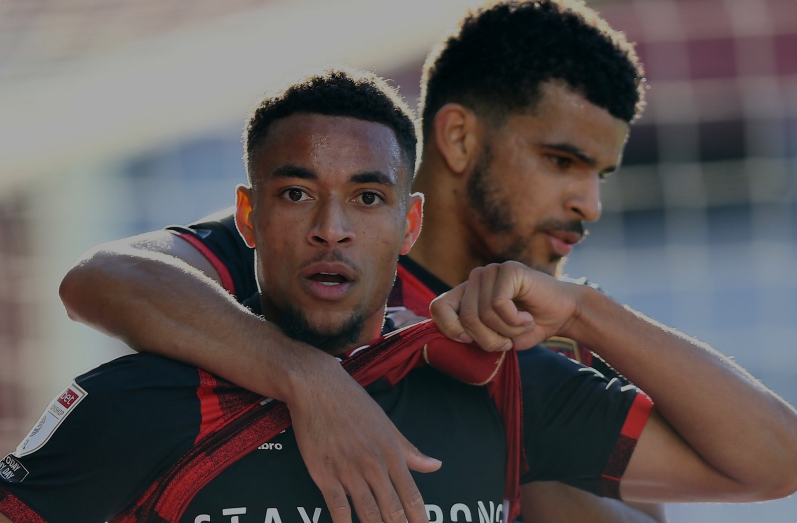 Back Of The Net - The AFC Bournemouth Podcast