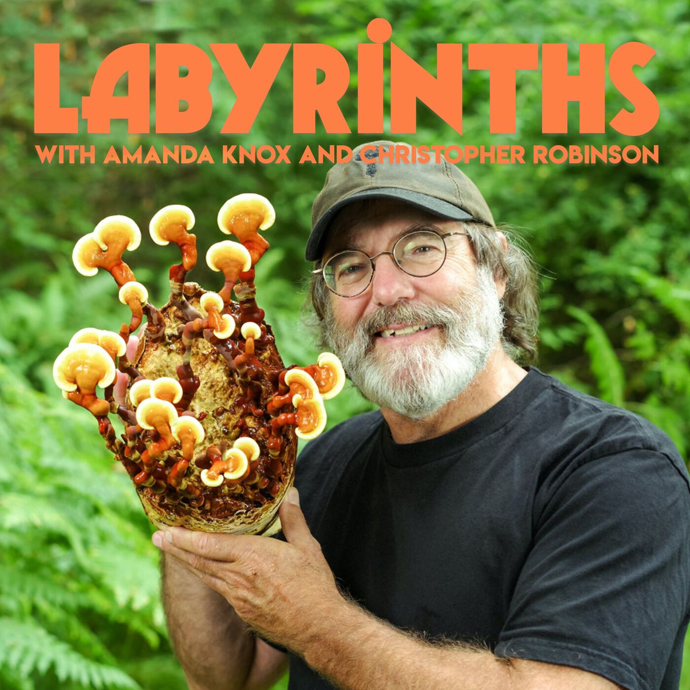 Hard Knox with Amanda Knox