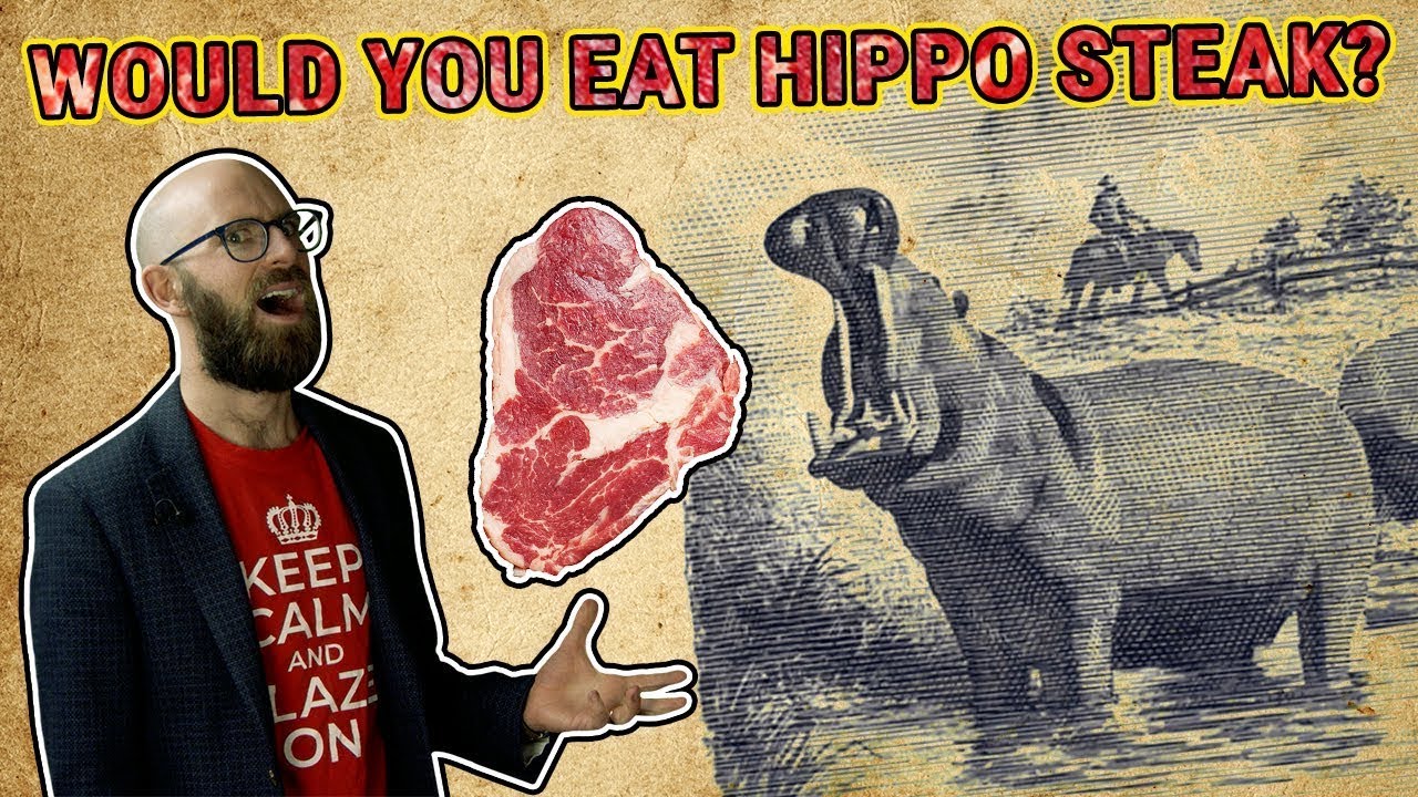 That Time the USA Tried to Make Hippo Farming a Thing episode artwork