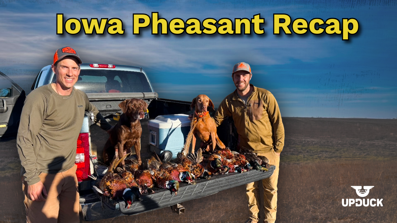 Iowa Roosters, Stale Mallards & Gun Deer Opener Traditions