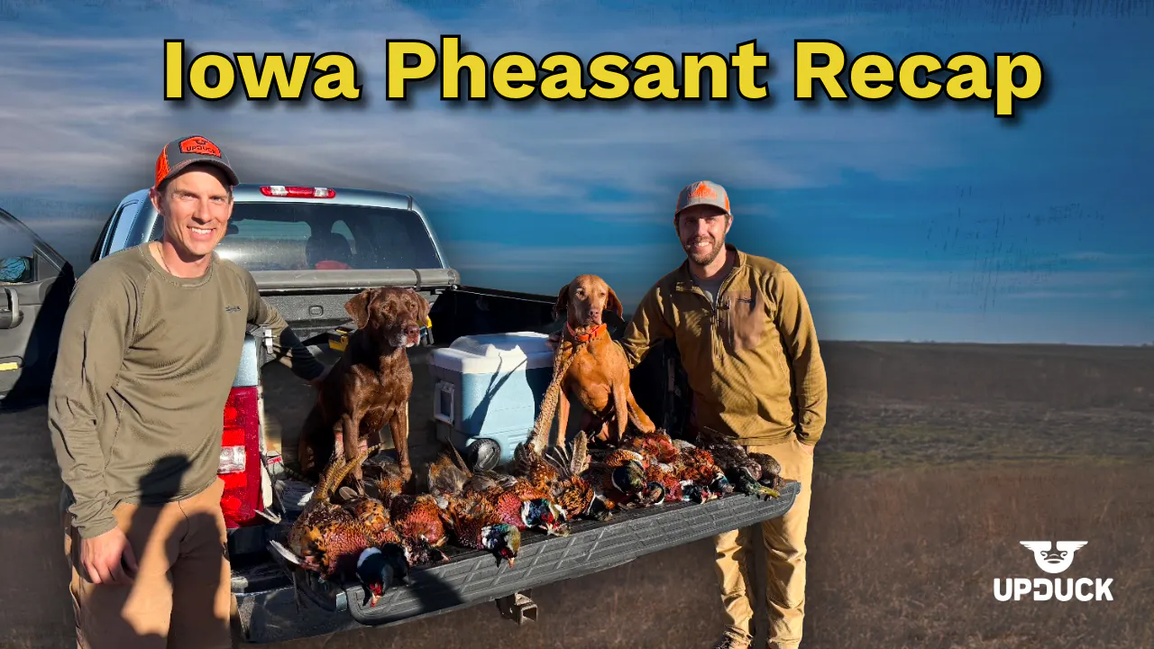 Iowa Roosters, Stale Mallards & Gun Deer Opener Traditions Iowa Roosters, Stale Mallards & Gun Deer Opener Traditions