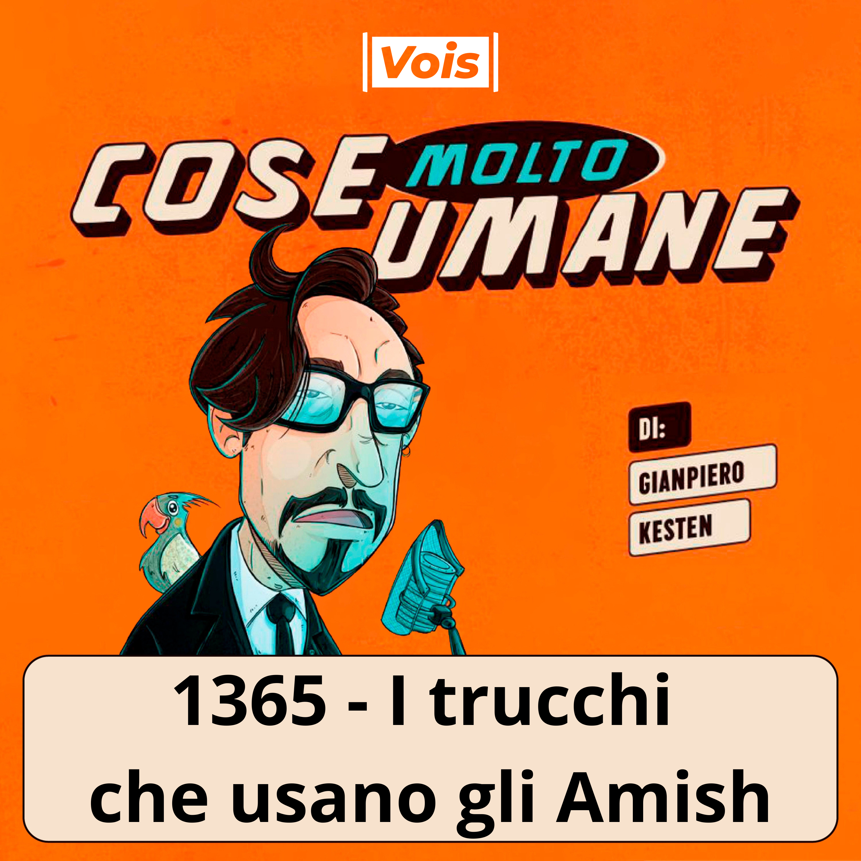 1365 - I trucchi che usano gli Amish
