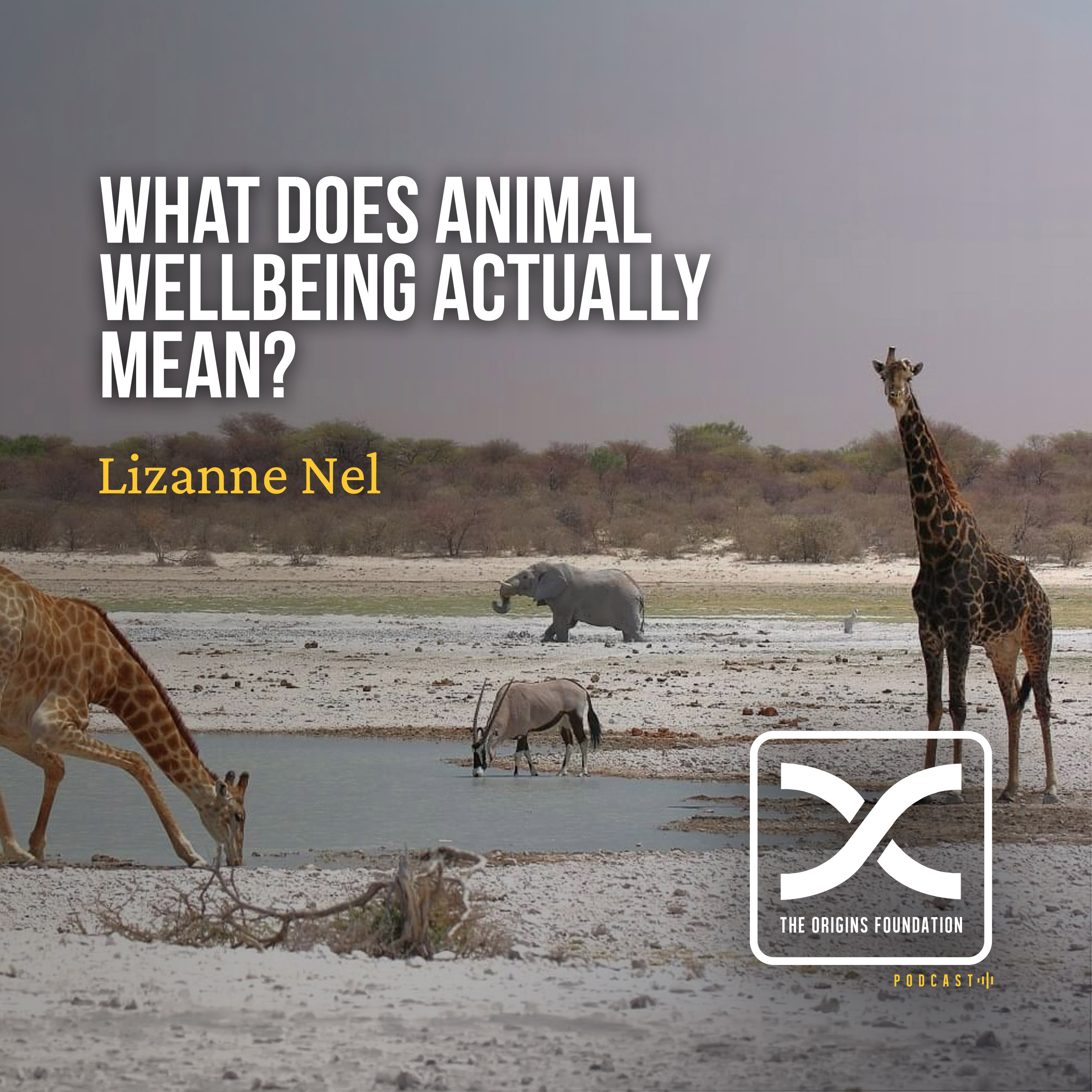 Episode 680 - What Does Animal Wellbeing Actually Mean? | Lizanne Nel episode artwork