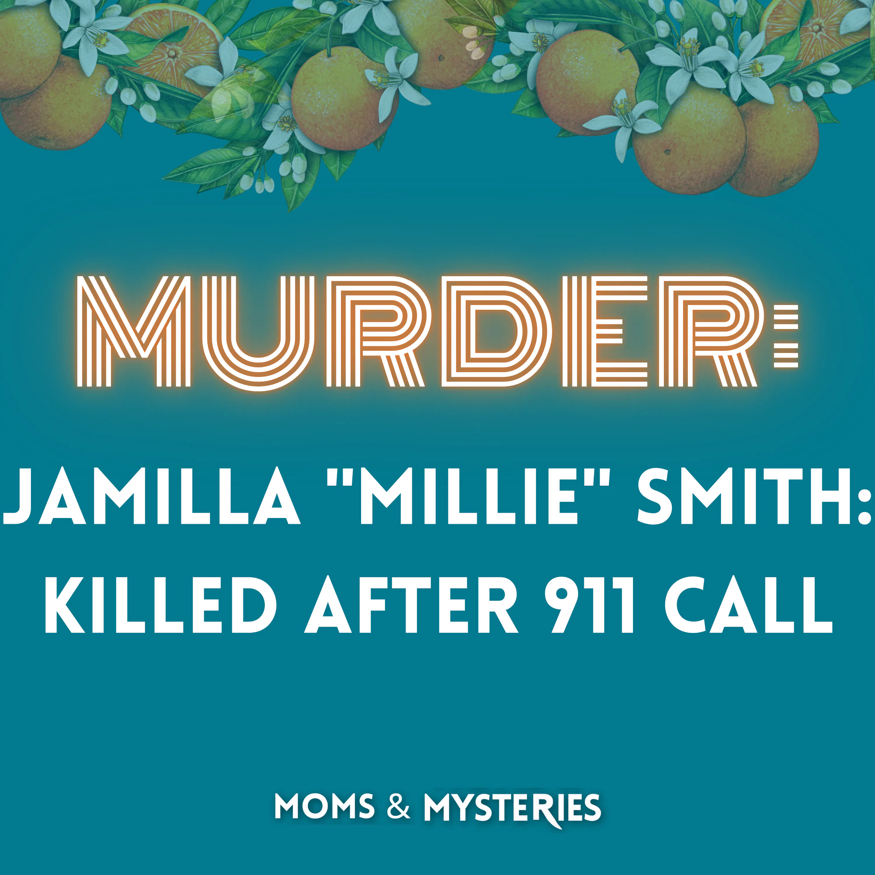 The Murder of Jamilla "Millie" Smith