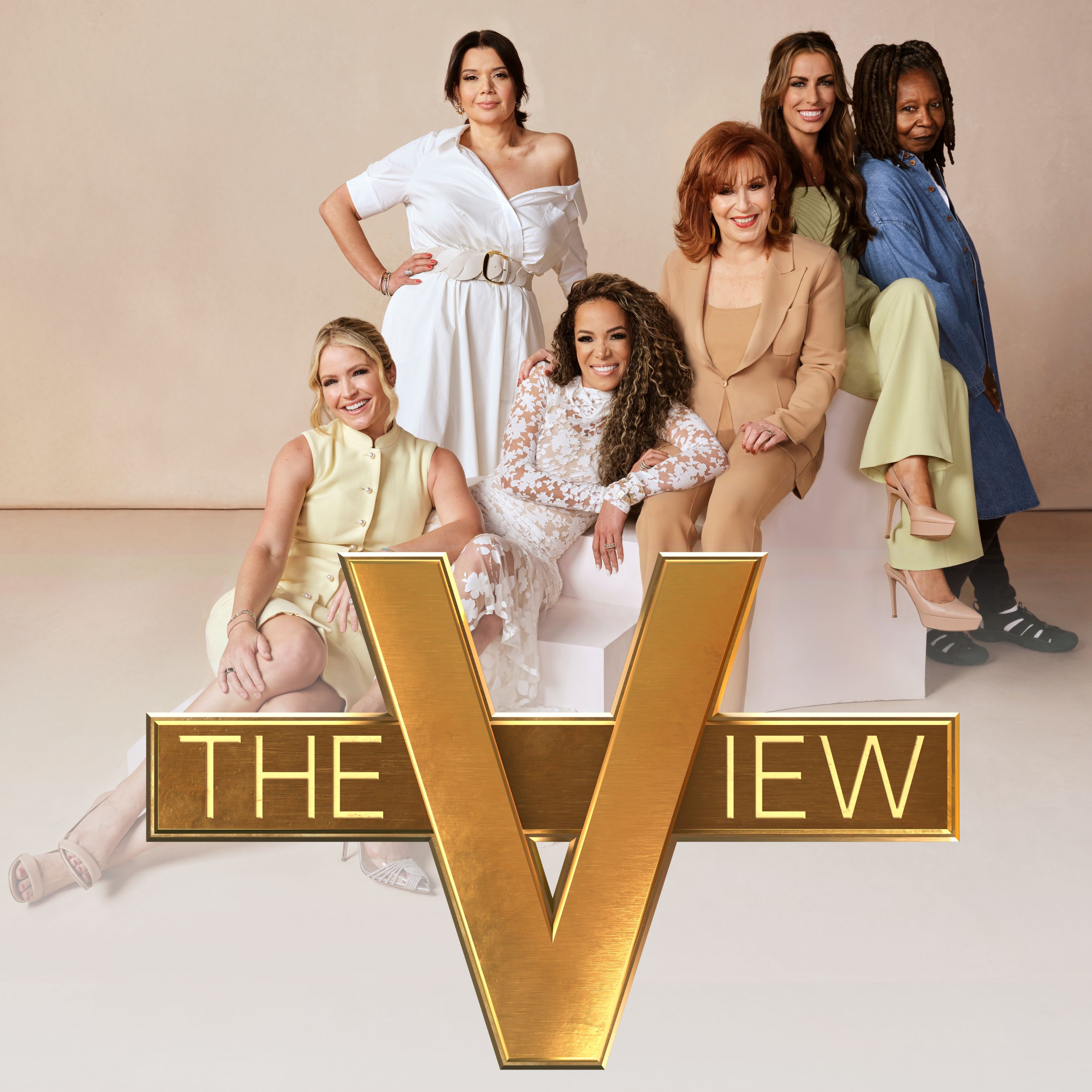 The View Artwork