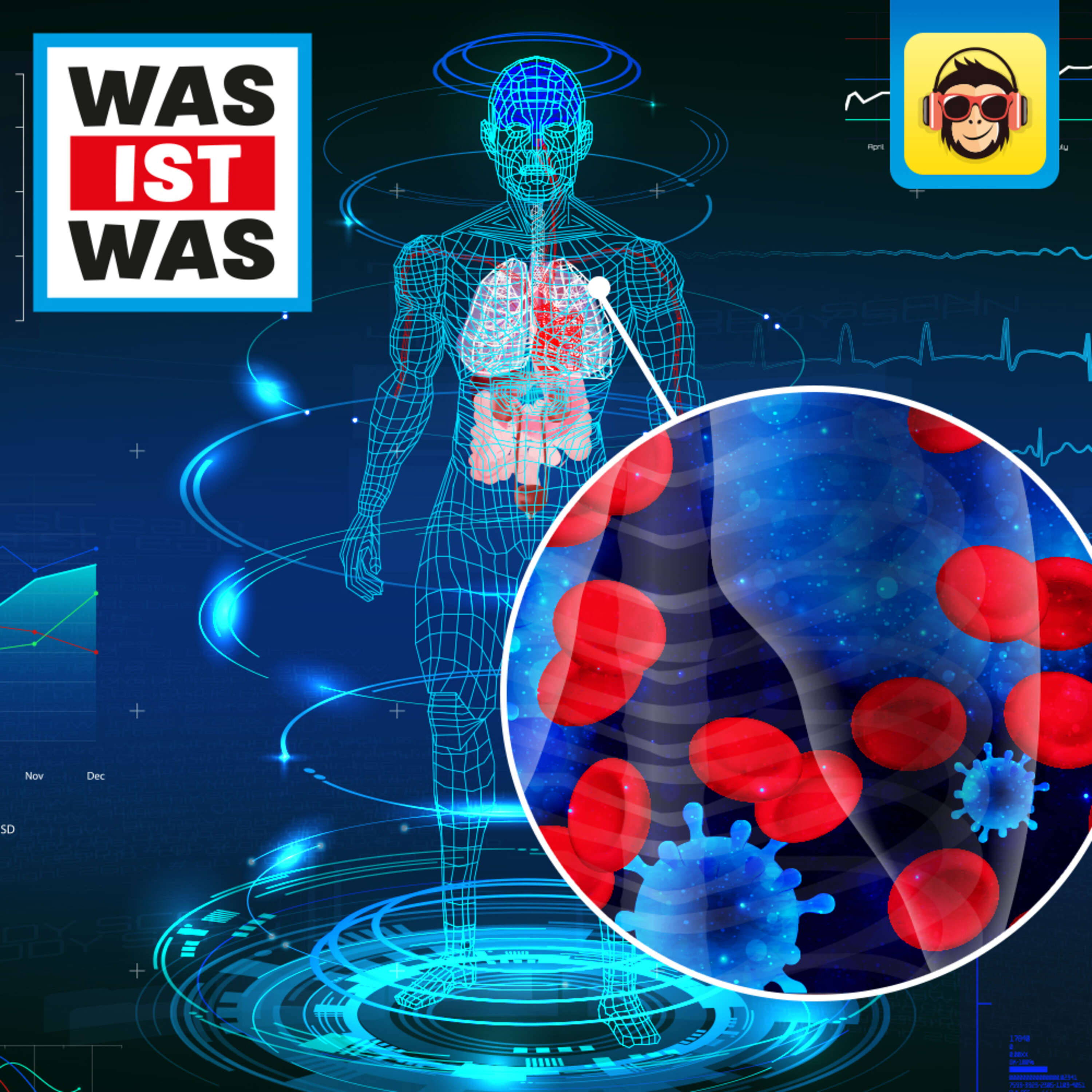 Der menschliche Körper - Angriff der Mikrowesen