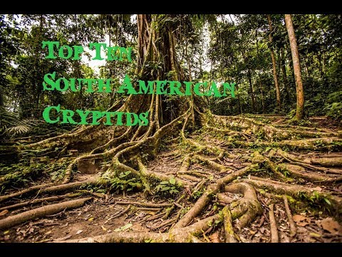 Top  Ten South American Cryptids episode artwork