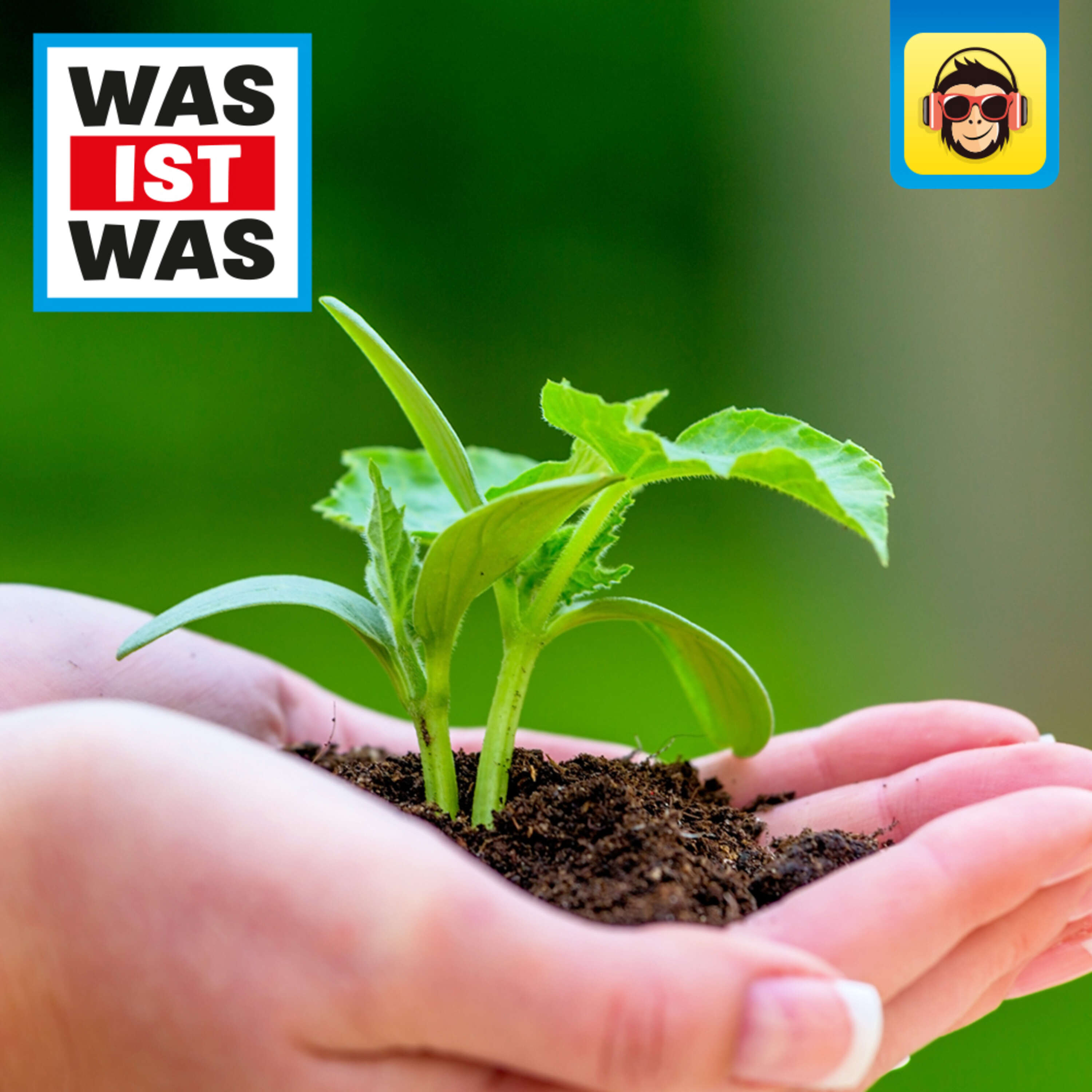 Nachwachsende Rohstoffe - Der Garten der Zukunft