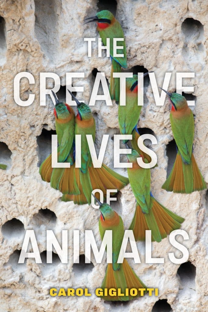 Episode 320:The Creative Lives of Animals w/Carol Gigliotti