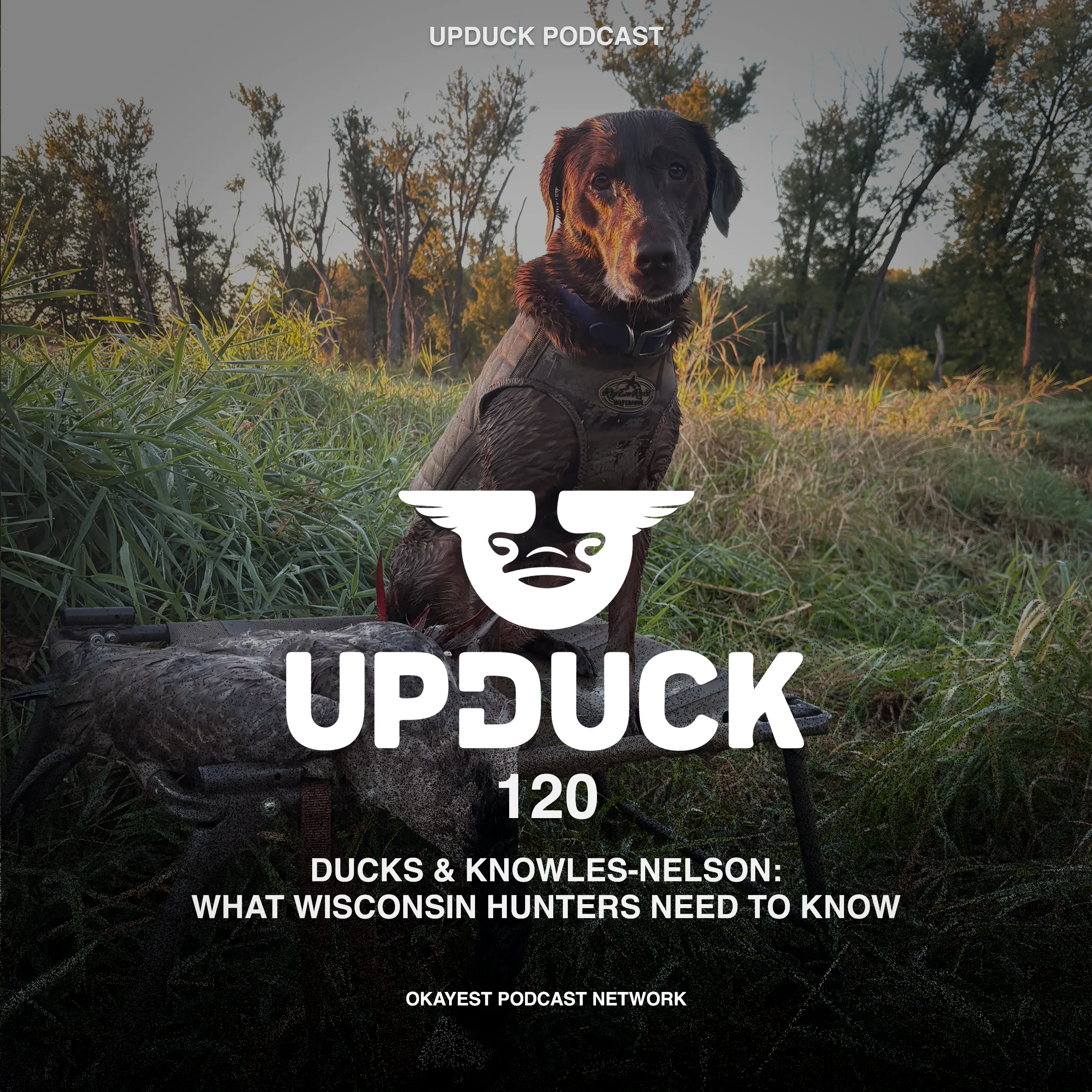 From Ducks to Knowles-Nelson: What Wisconsin Hunters Need to Know episode artwork