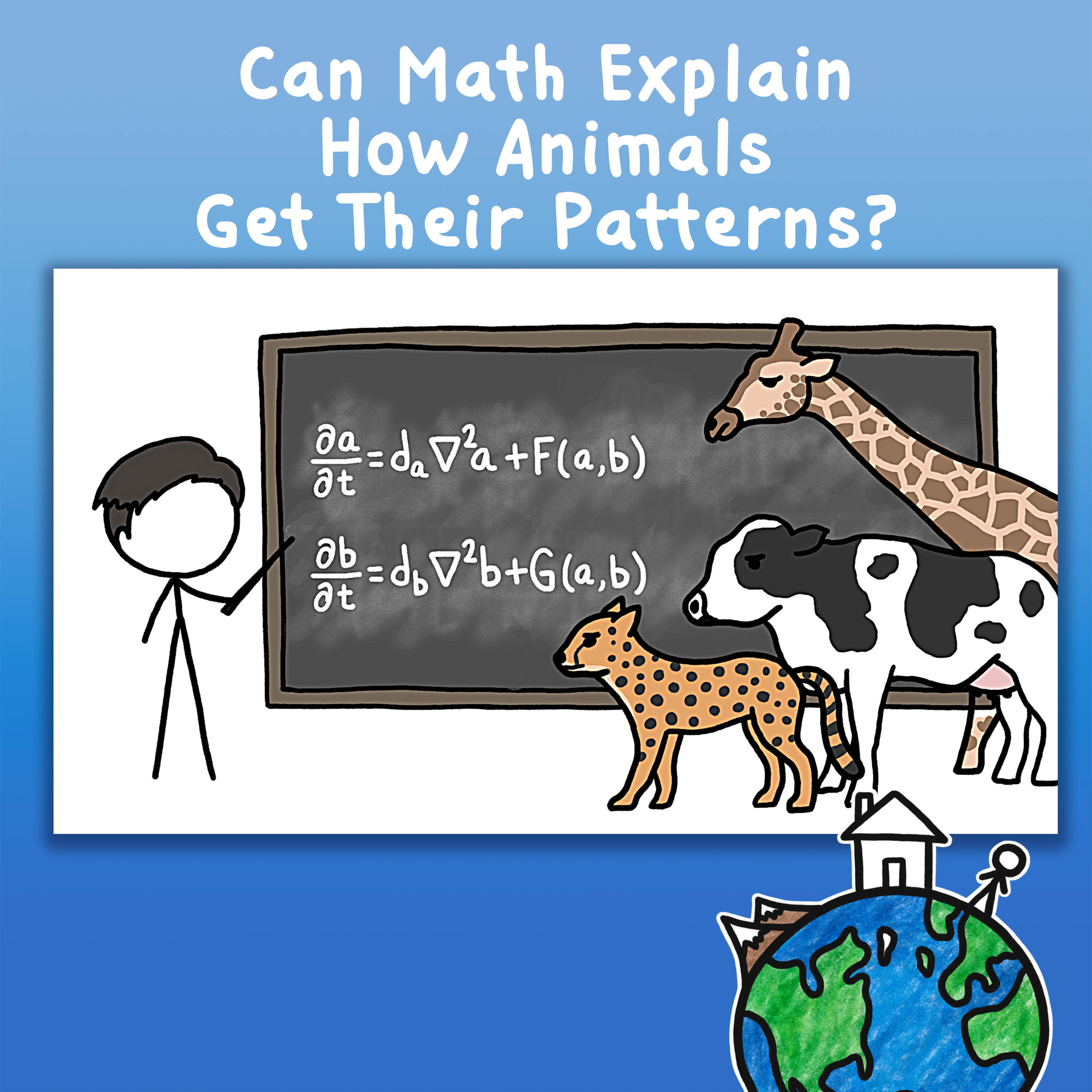 Can Math Explain How Animals Get Their Patterns?