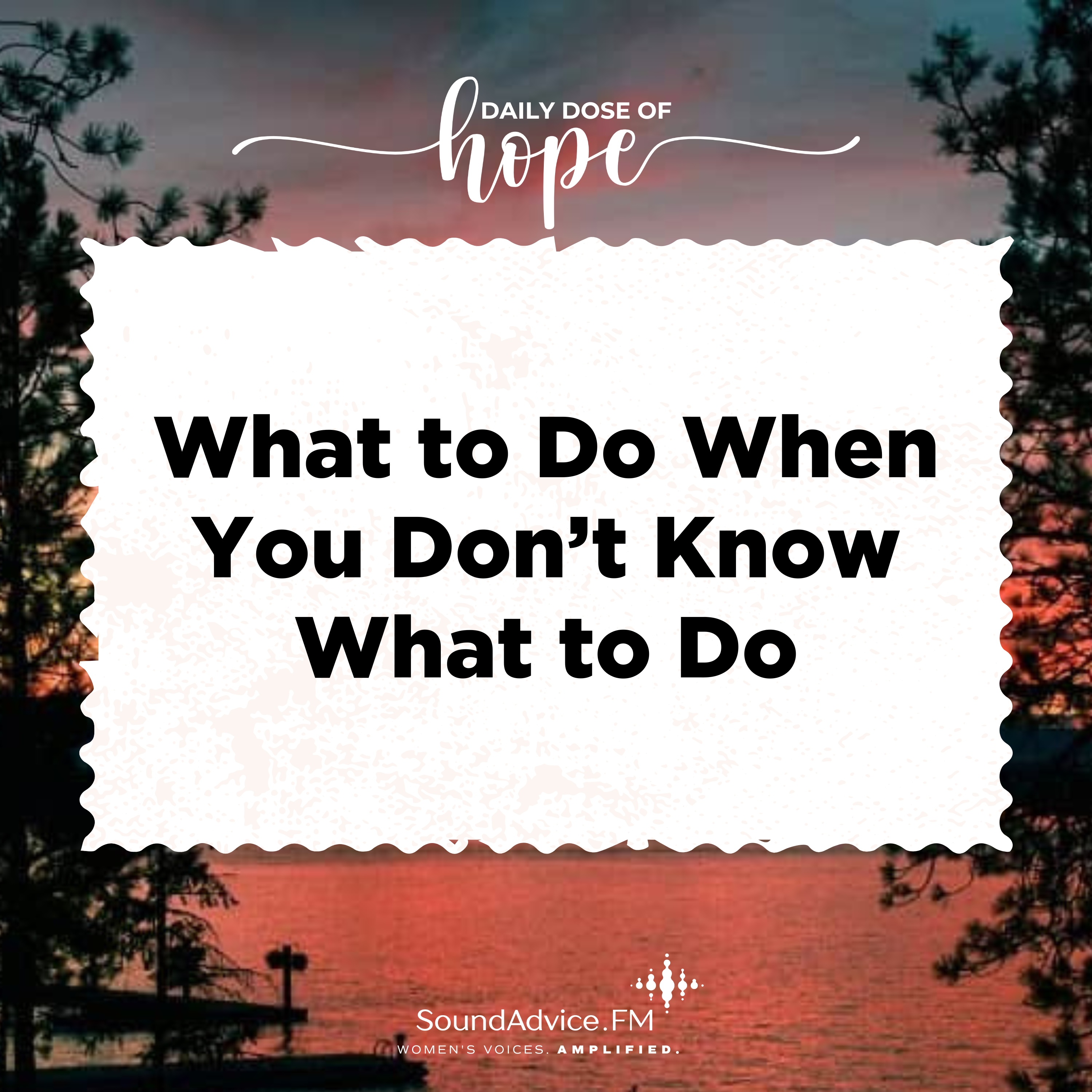 What to Do When You Don’t Know What to Do EP 298